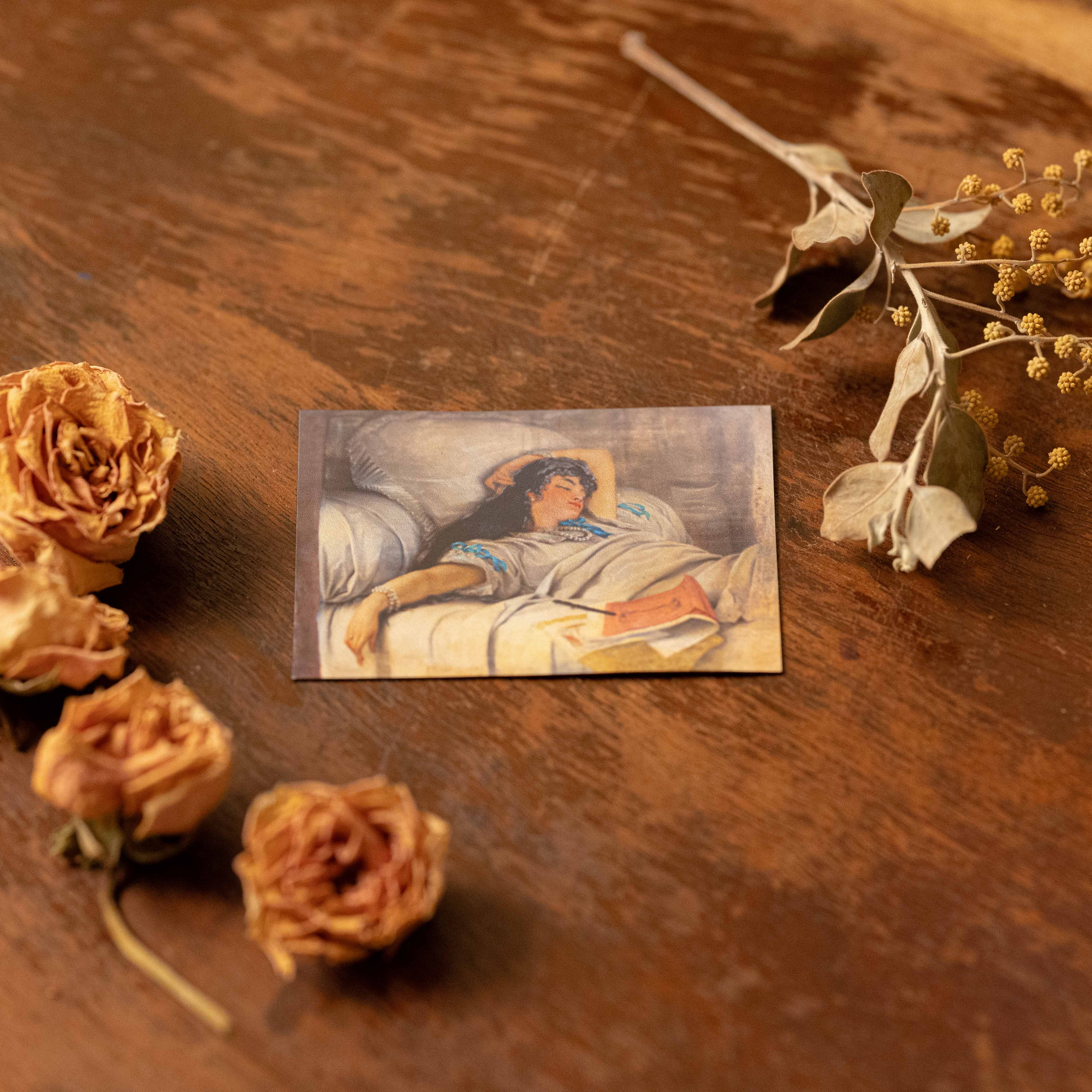 Image of Magnets For Booklovers