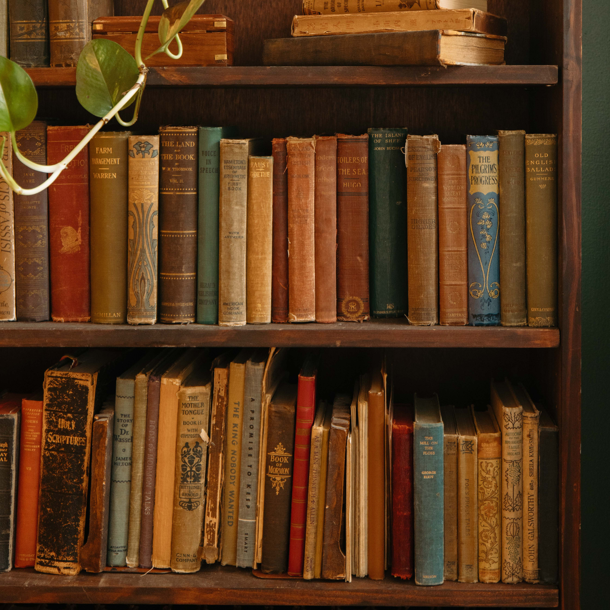 Novelbookstore.co