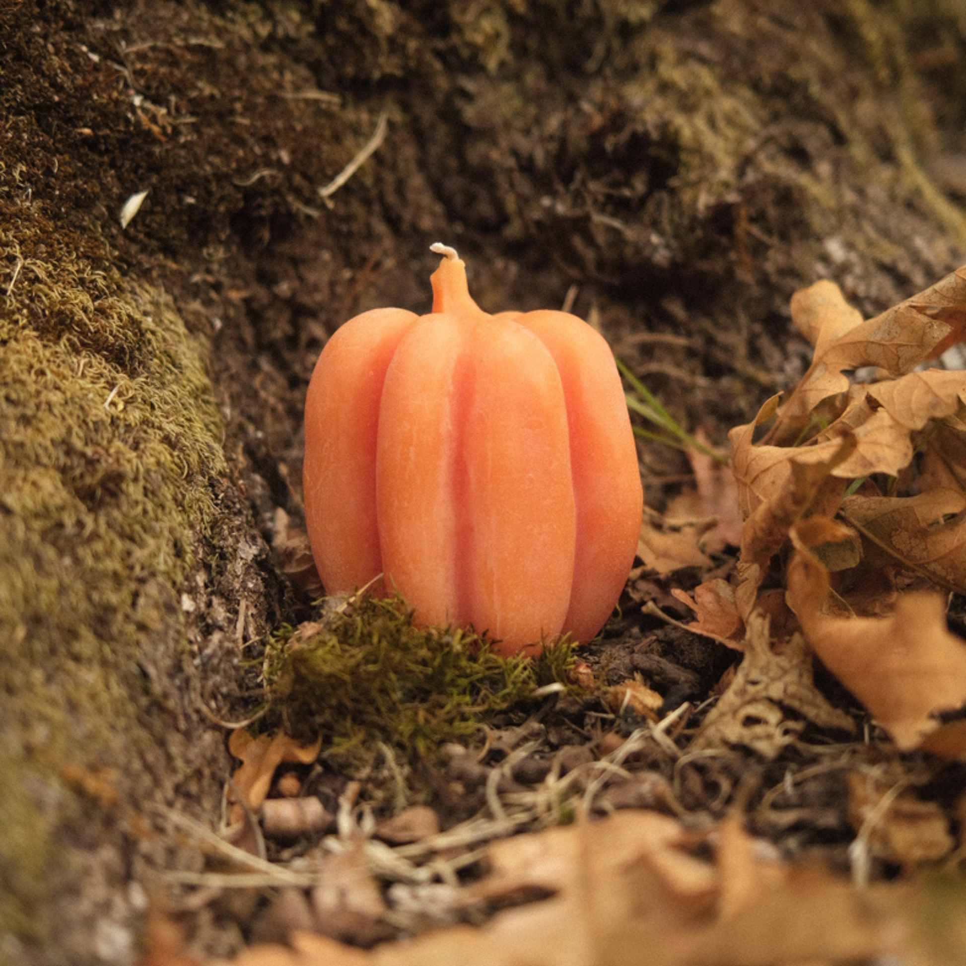 Pumpkin Candle