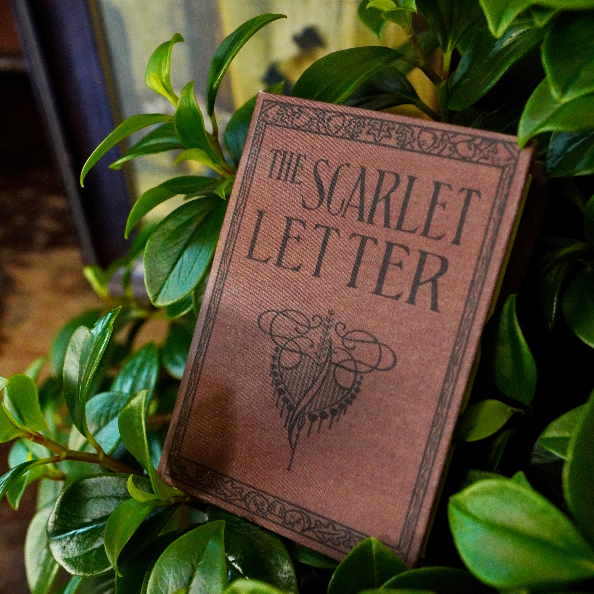 Image of The Scarlet Letter by Nathaniel Hawthorne 1850 - Novelbookstore.co
