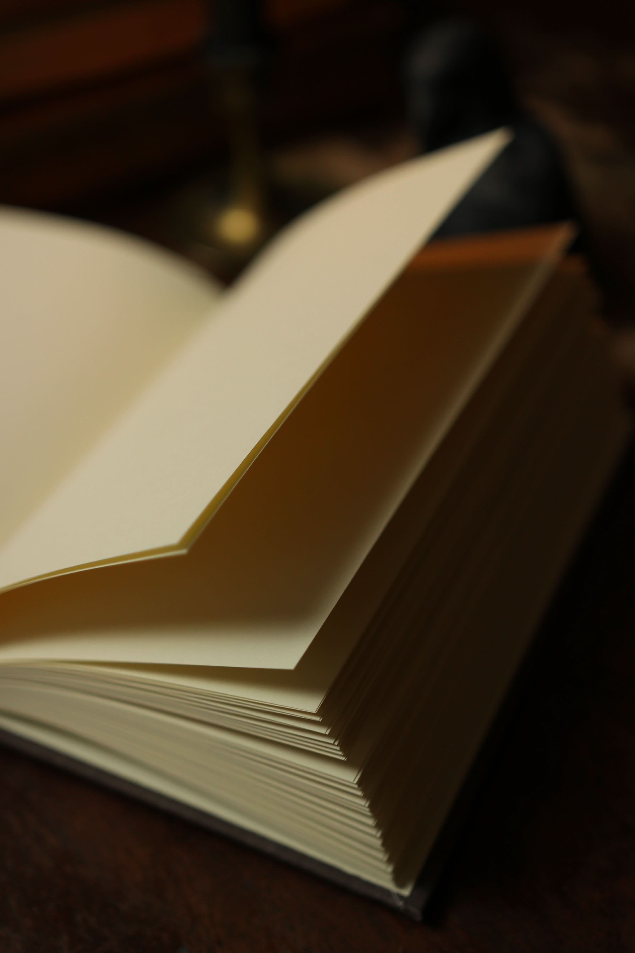 Image of *The Complete Poetical Works of Edgar Allan Poe 1884 Book Journal - Novelbookstore.co