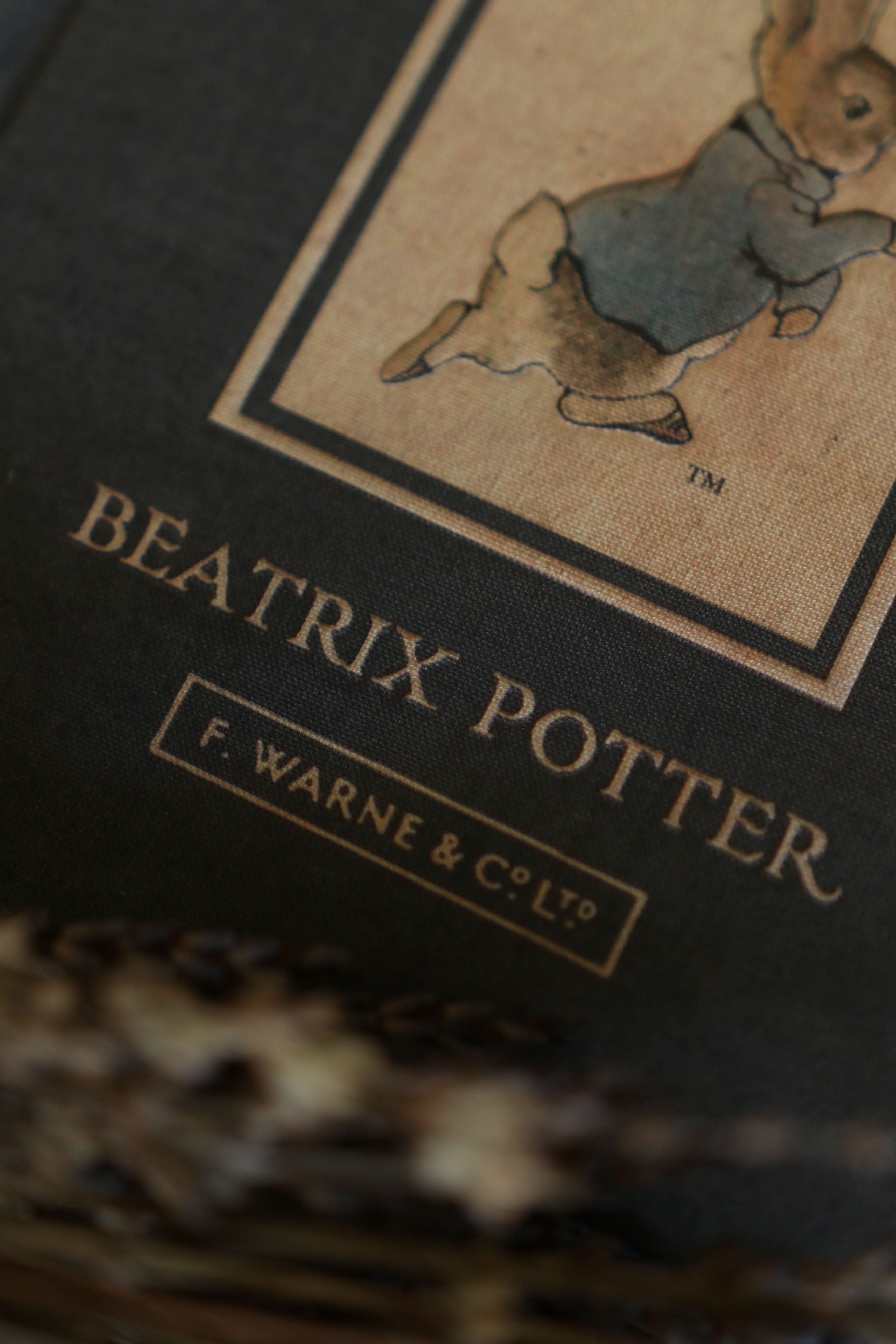 Image of *The Tale of Peter Rabbit by Beatrix Potter 1902 Book Journal - Novelbookstore.co