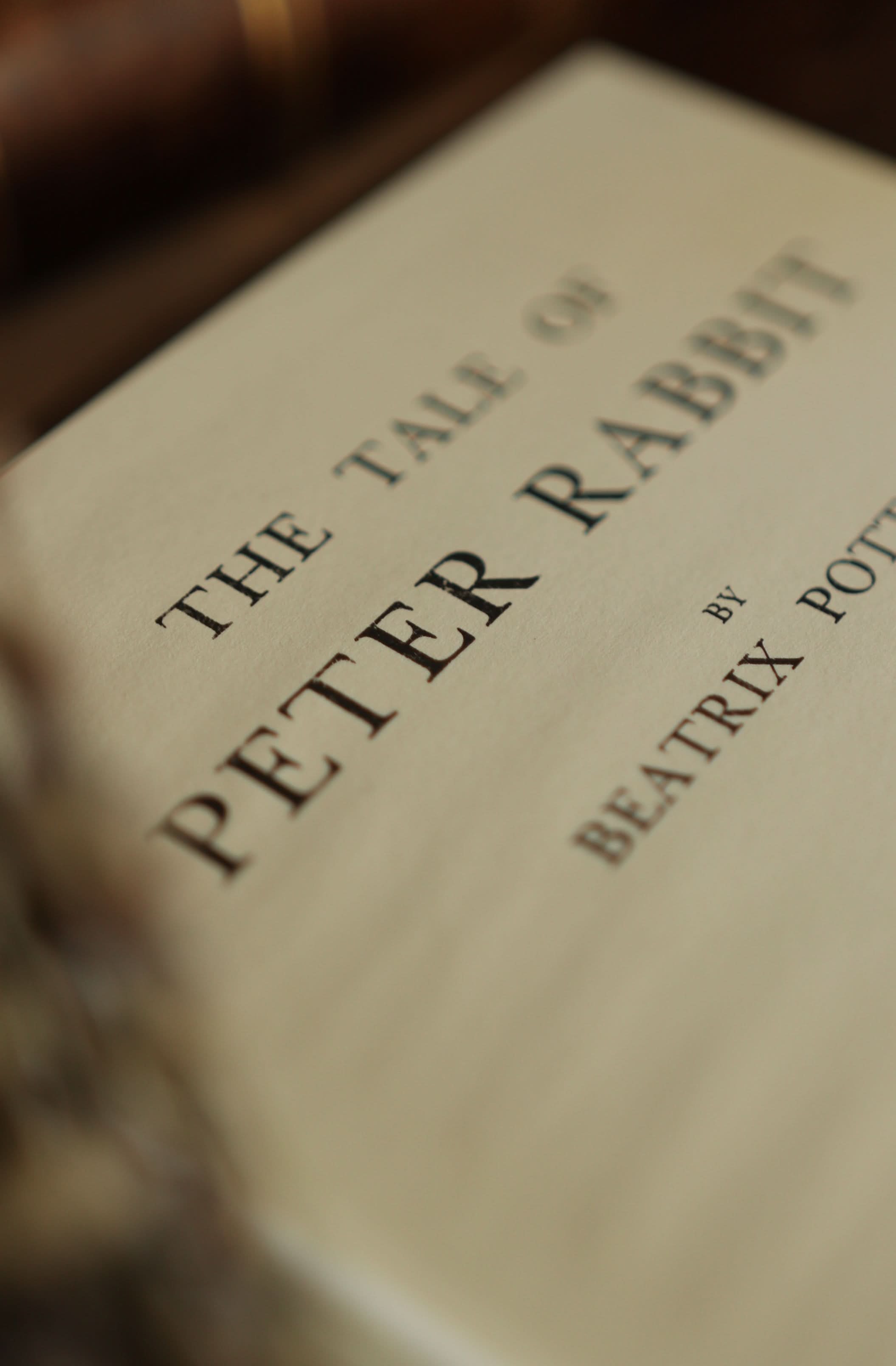 Image of *The Tale of Peter Rabbit by Beatrix Potter 1902 Book Journal - Novelbookstore.co