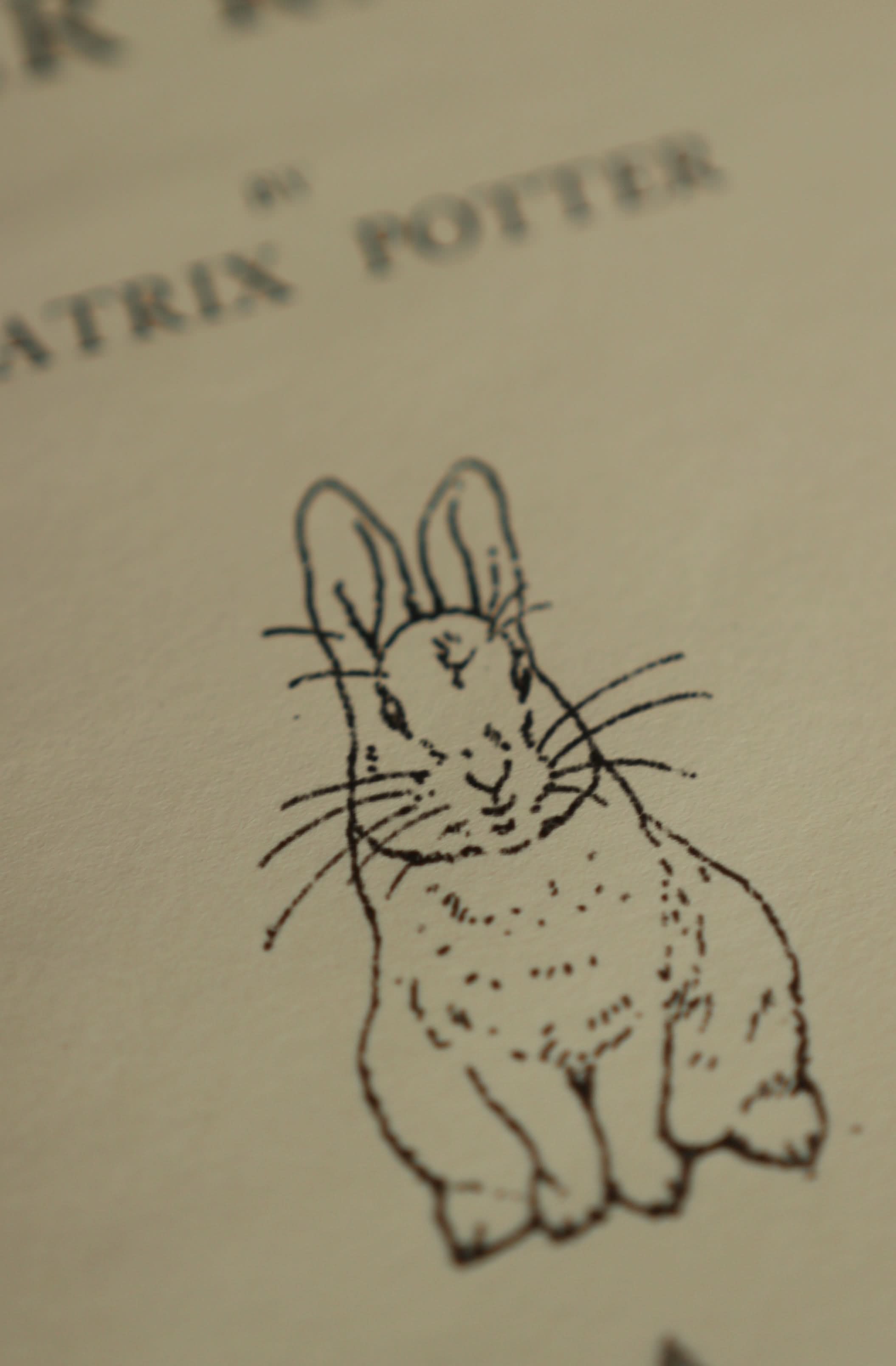 Image of *The Tale of Peter Rabbit by Beatrix Potter 1902 Book Journal - Novelbookstore.co