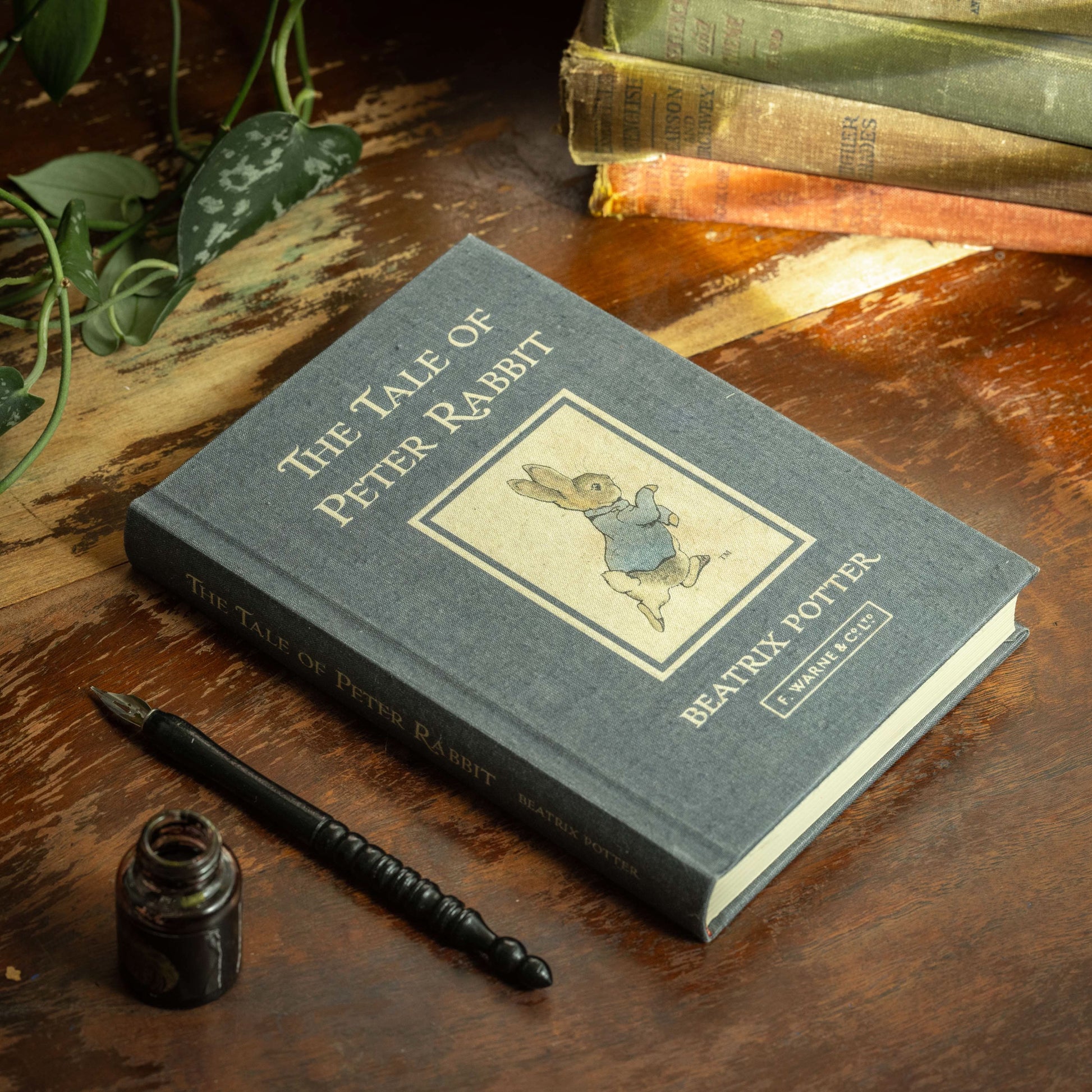 *The Tale of Peter Rabbit by Beatrix Potter 1902 Book Journal - Novelbookstore.co