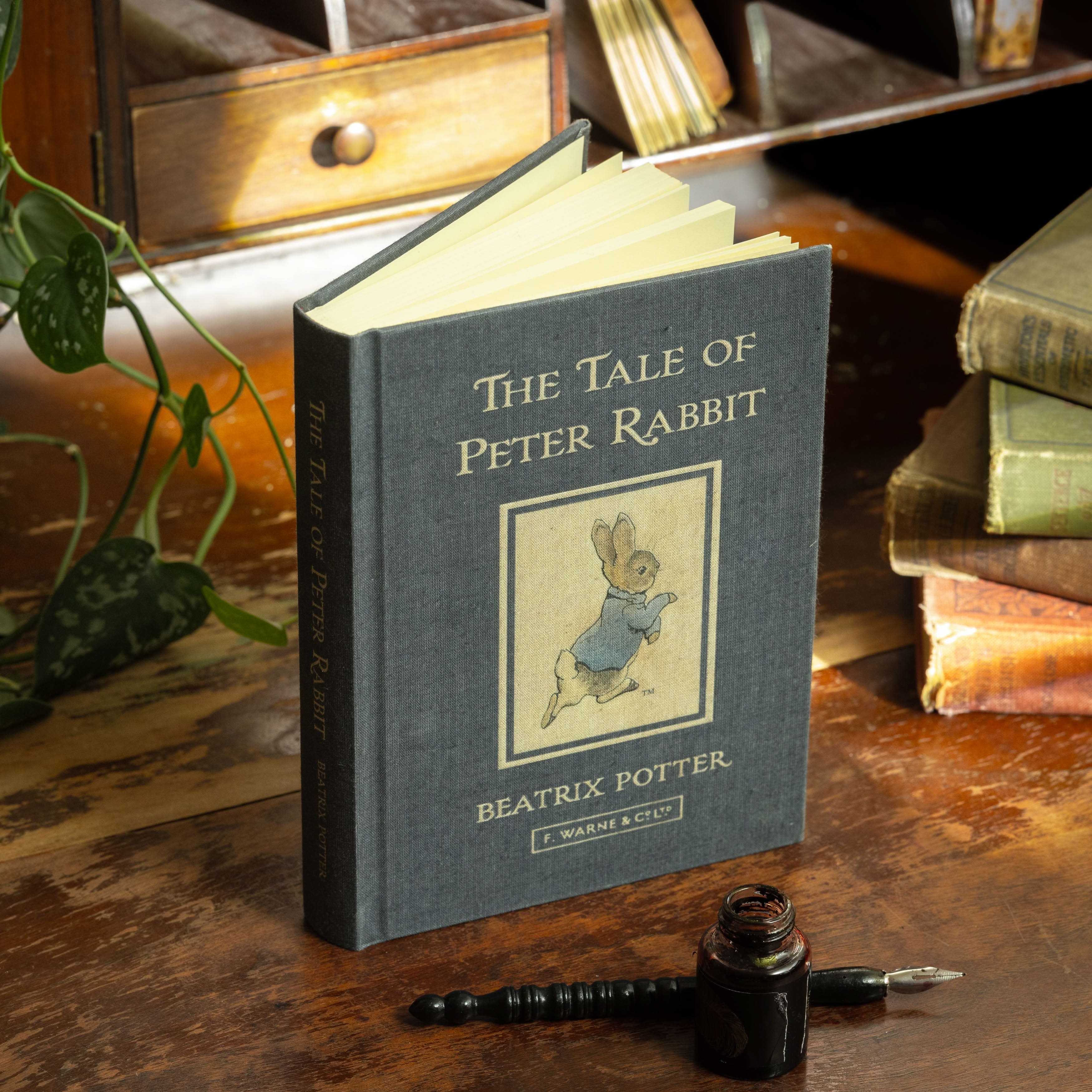 Image of *The Tale of Peter Rabbit by Beatrix Potter 1902 Book Journal - Novelbookstore.co