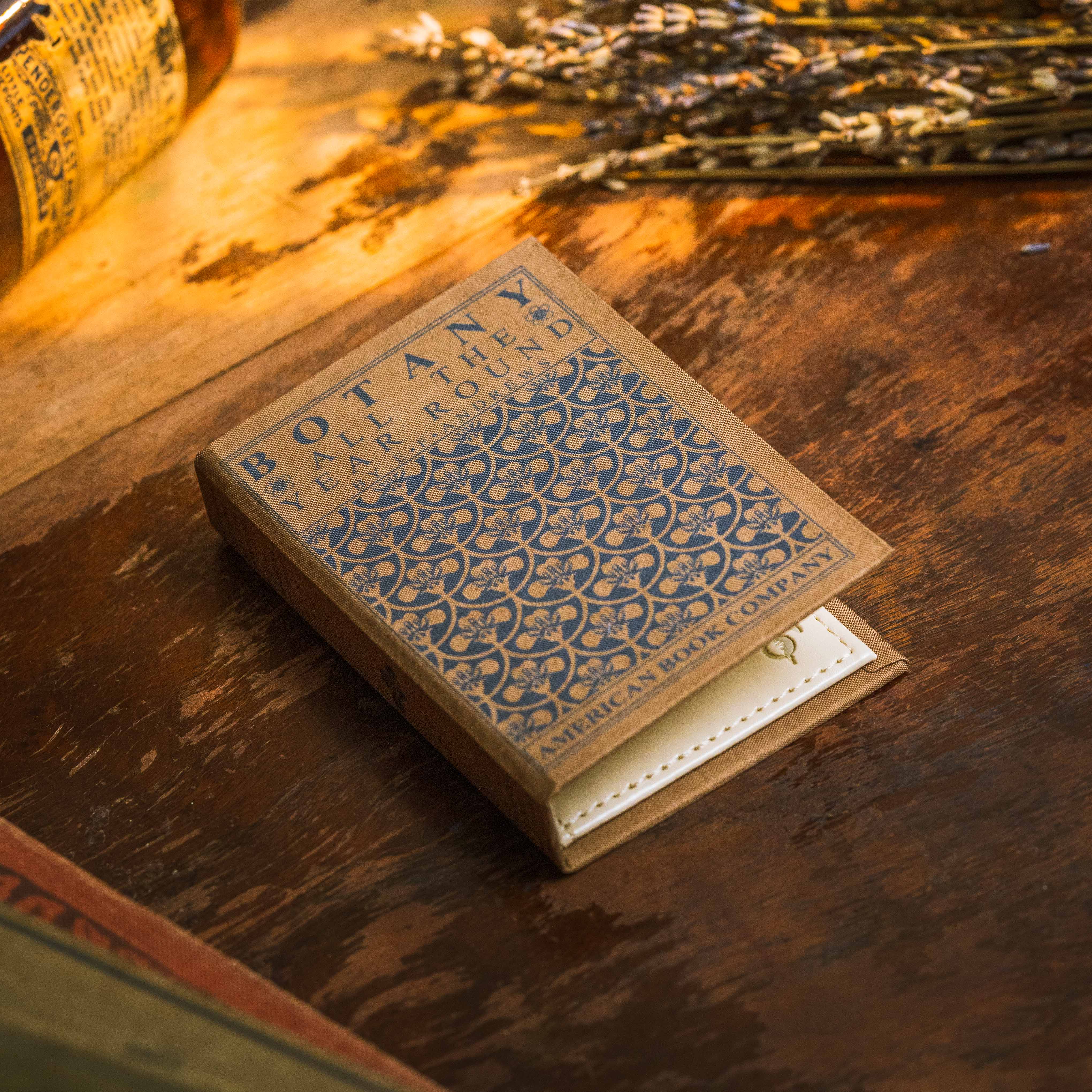 Image of Botany All the Year Round by E. F. Andrews 1903 Book Wallet - Novelbookstore.co