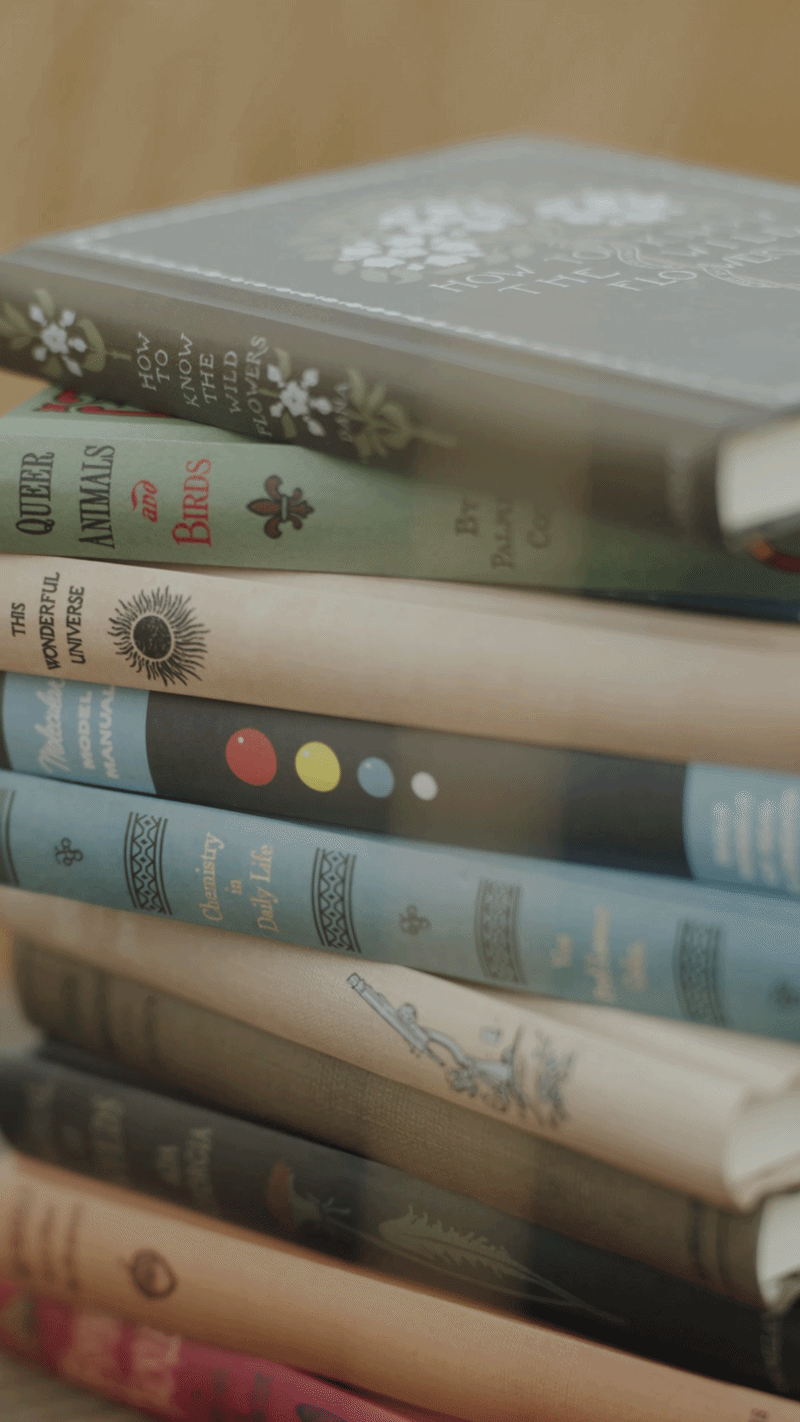 Novelbookstore.co