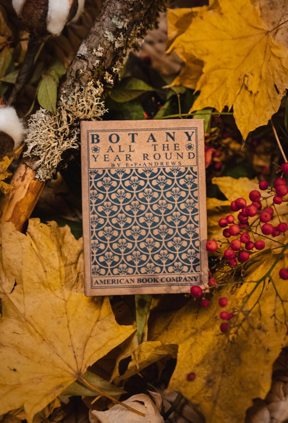 Image of Botany All the Year Round by E. F. Andrews 1903 Book Wallet - Novelbookstore.co