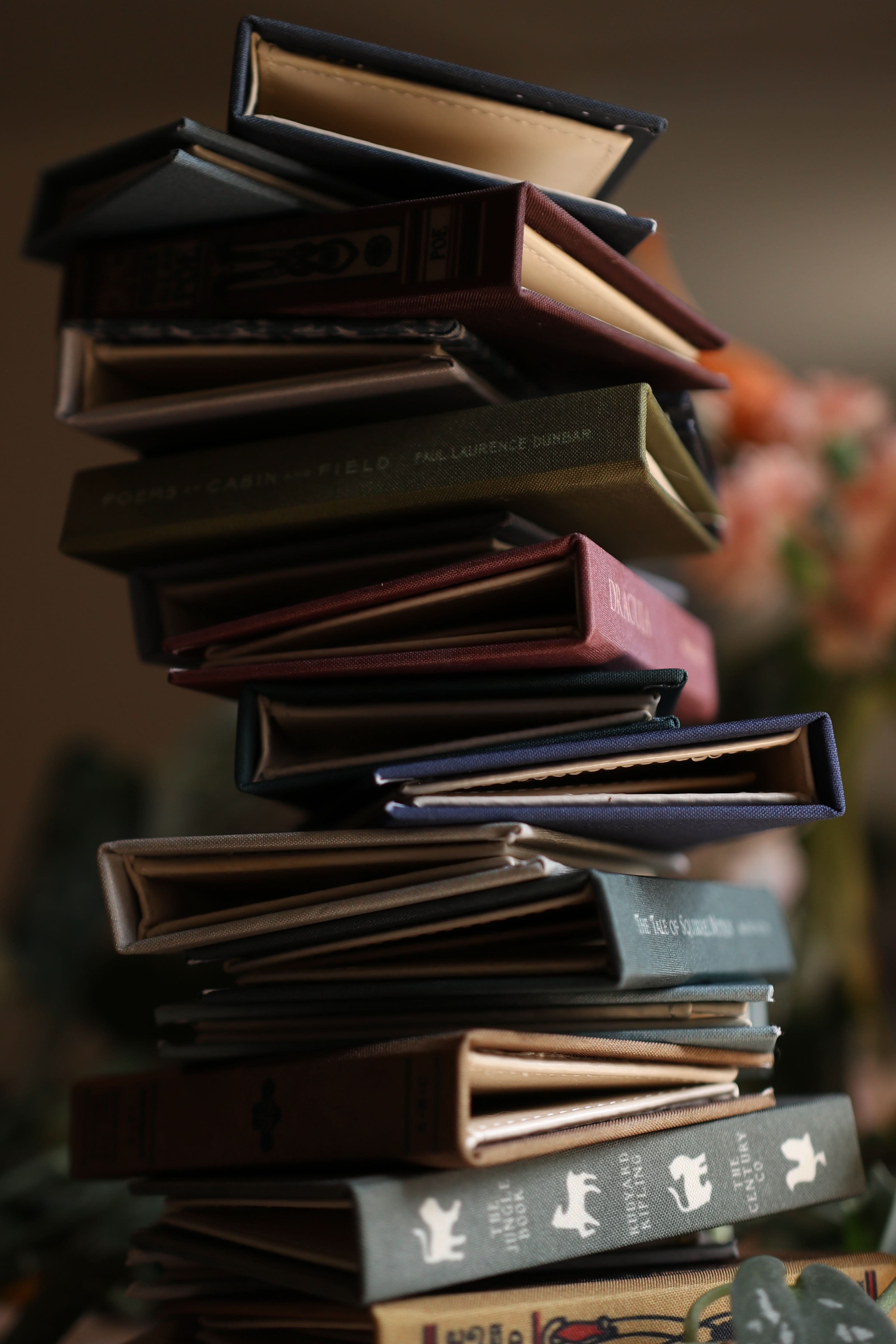 Image of 150 Bookwallet Wholesale Order - Novelbookstore.co