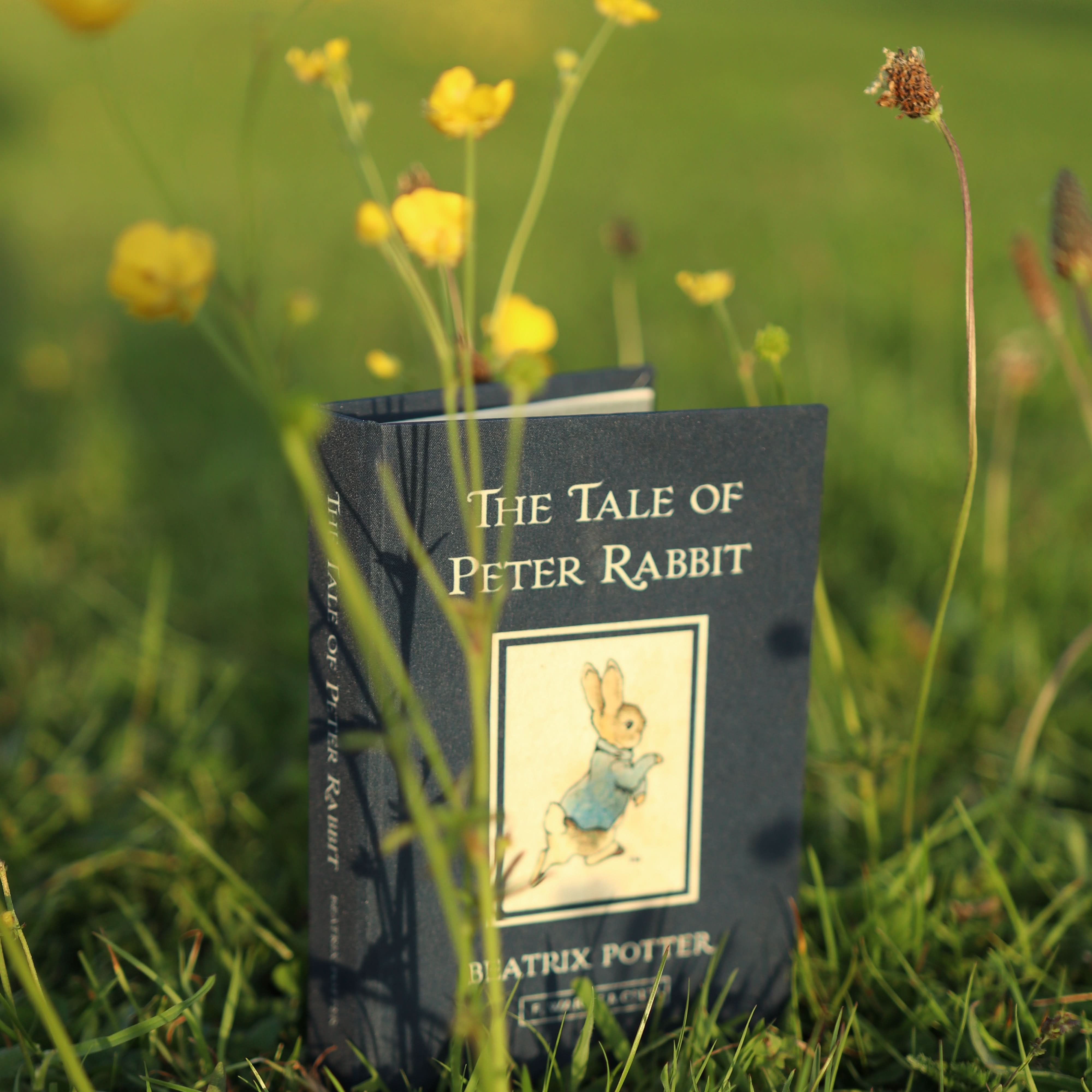 Image of 'The Tale of Peter Rabbit' by Beatrix Potter 1902 Passport/Notebook Wallet - Novelbookstore.co