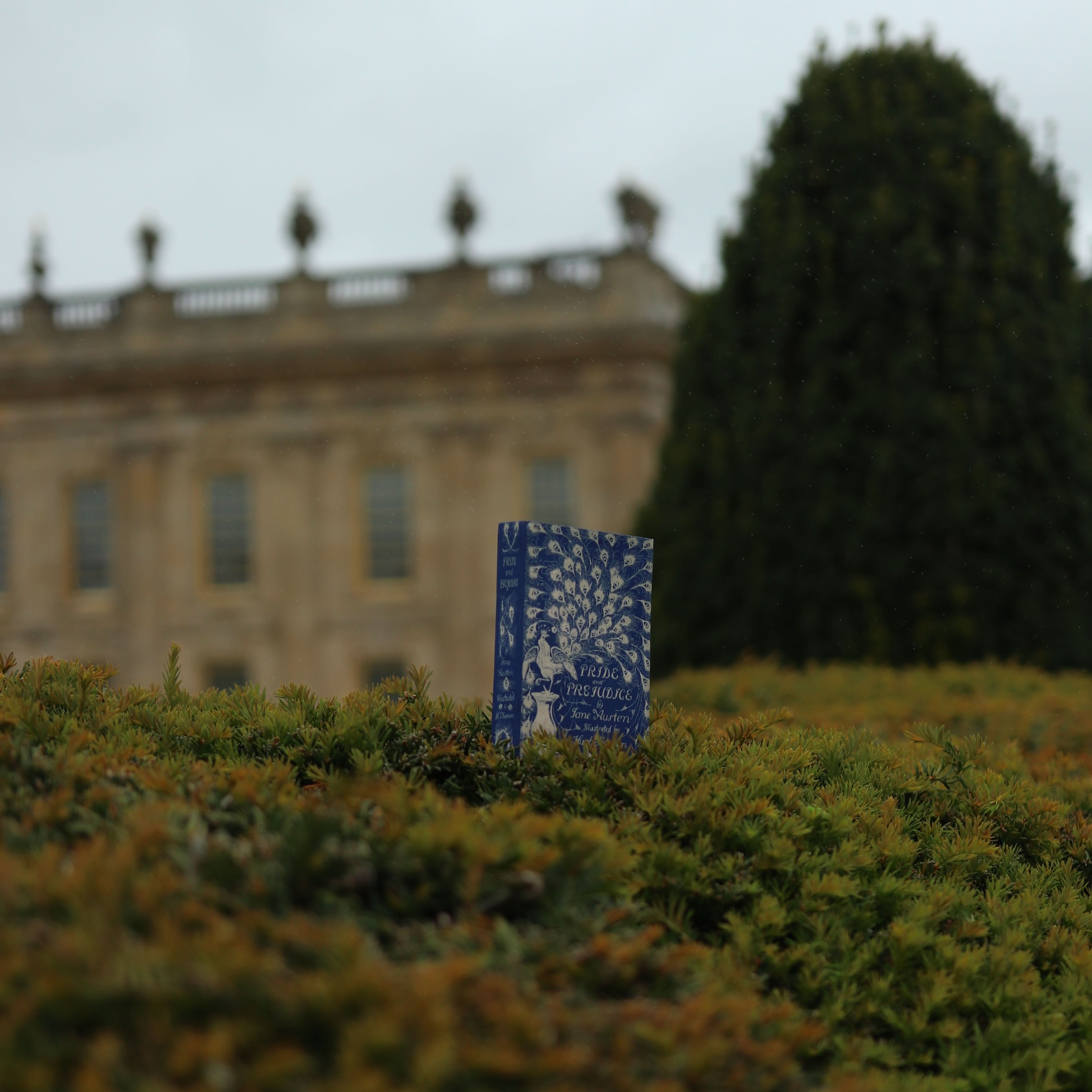 Image of 'Pride & Prejudice' (Peacock Edition) by Jane Austen 1813 Passport/Notebook Wallet - Novelbookstore.co