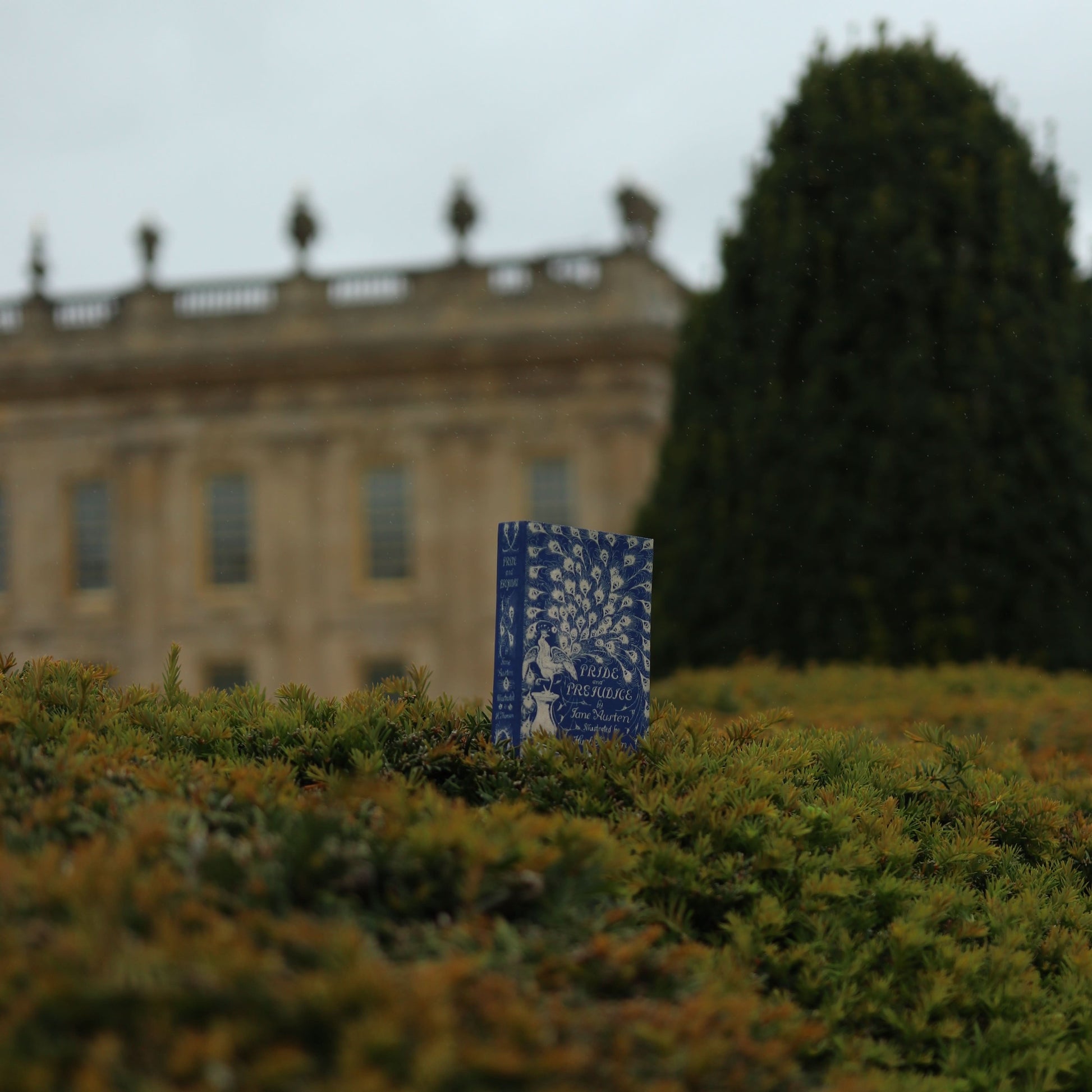'Pride & Prejudice' (Peacock Edition) by Jane Austen 1813 Passport/Notebook Wallet - Novelbookstore.co