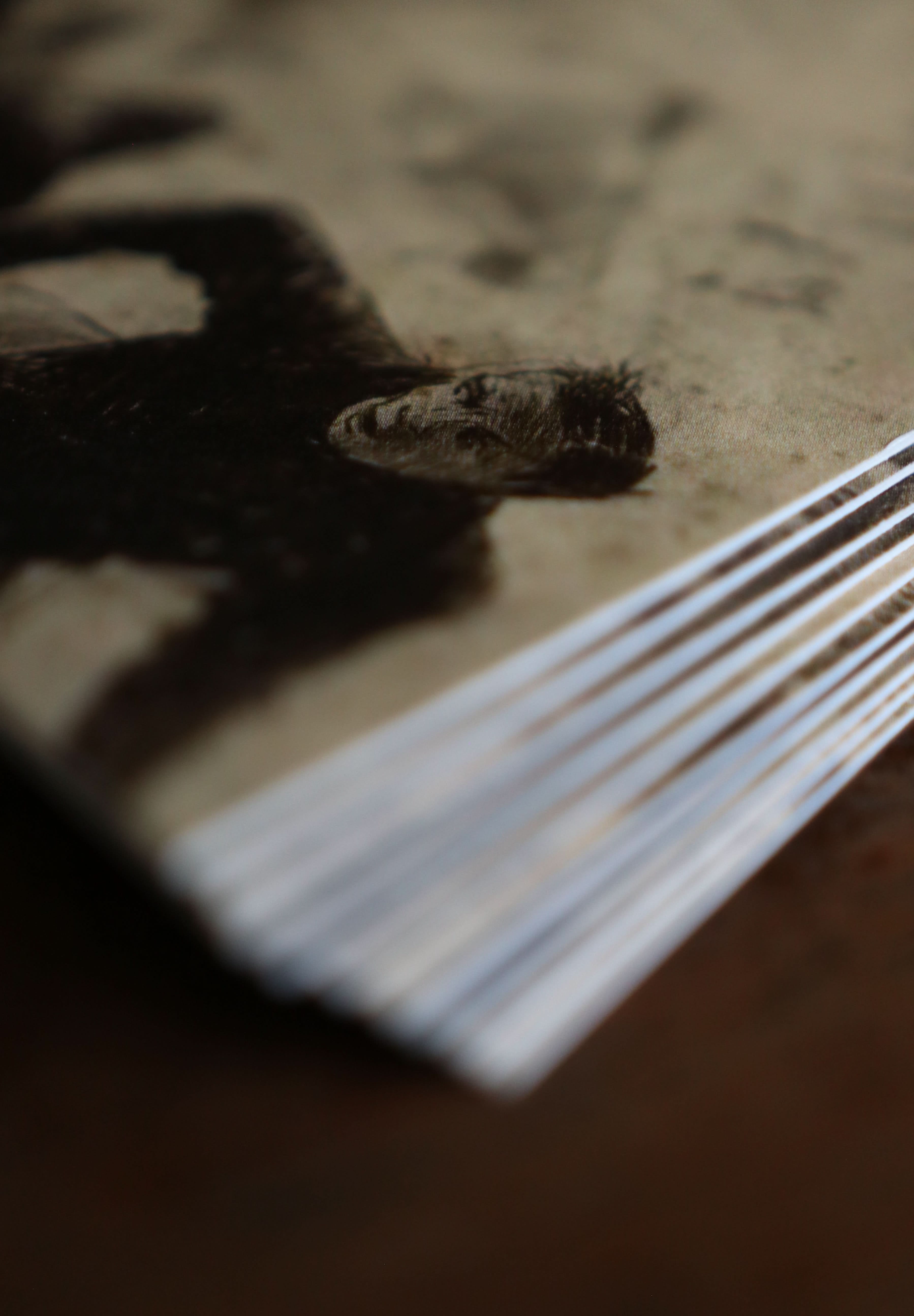 Image of The War of the Worlds Collection - Notecard / Stationery / Art - 10 Count. - Novelbookstore.co