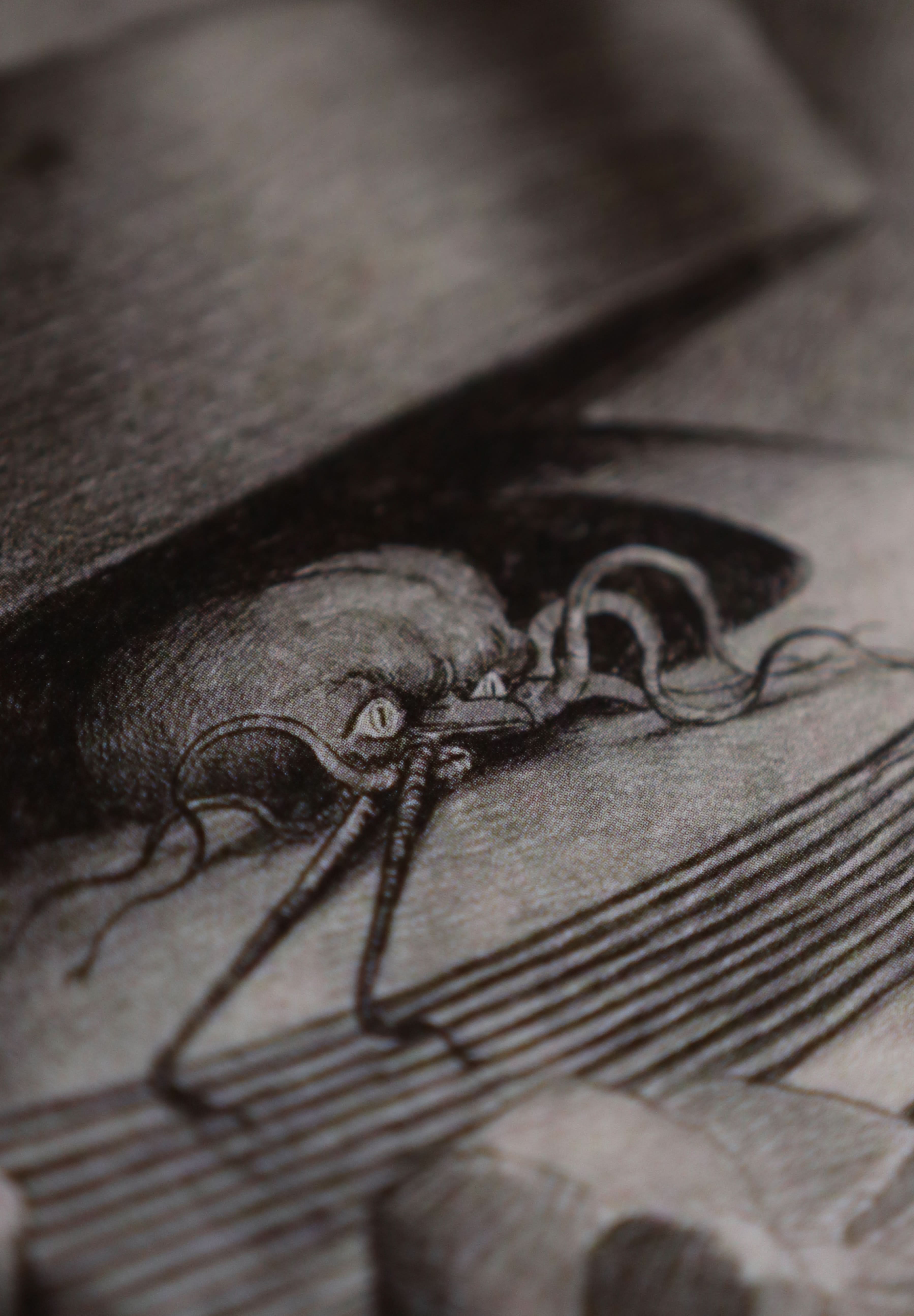 Image of The War of the Worlds Collection - Notecard / Stationery / Art - 10 Count. - Novelbookstore.co