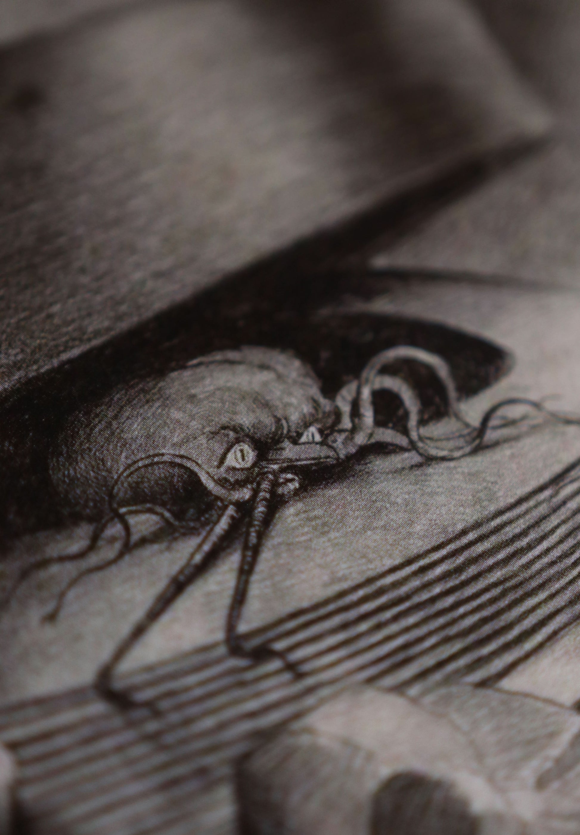 The War of the Worlds Collection - Notecard / Stationery / Art - 10 Count. - Novelbookstore.co