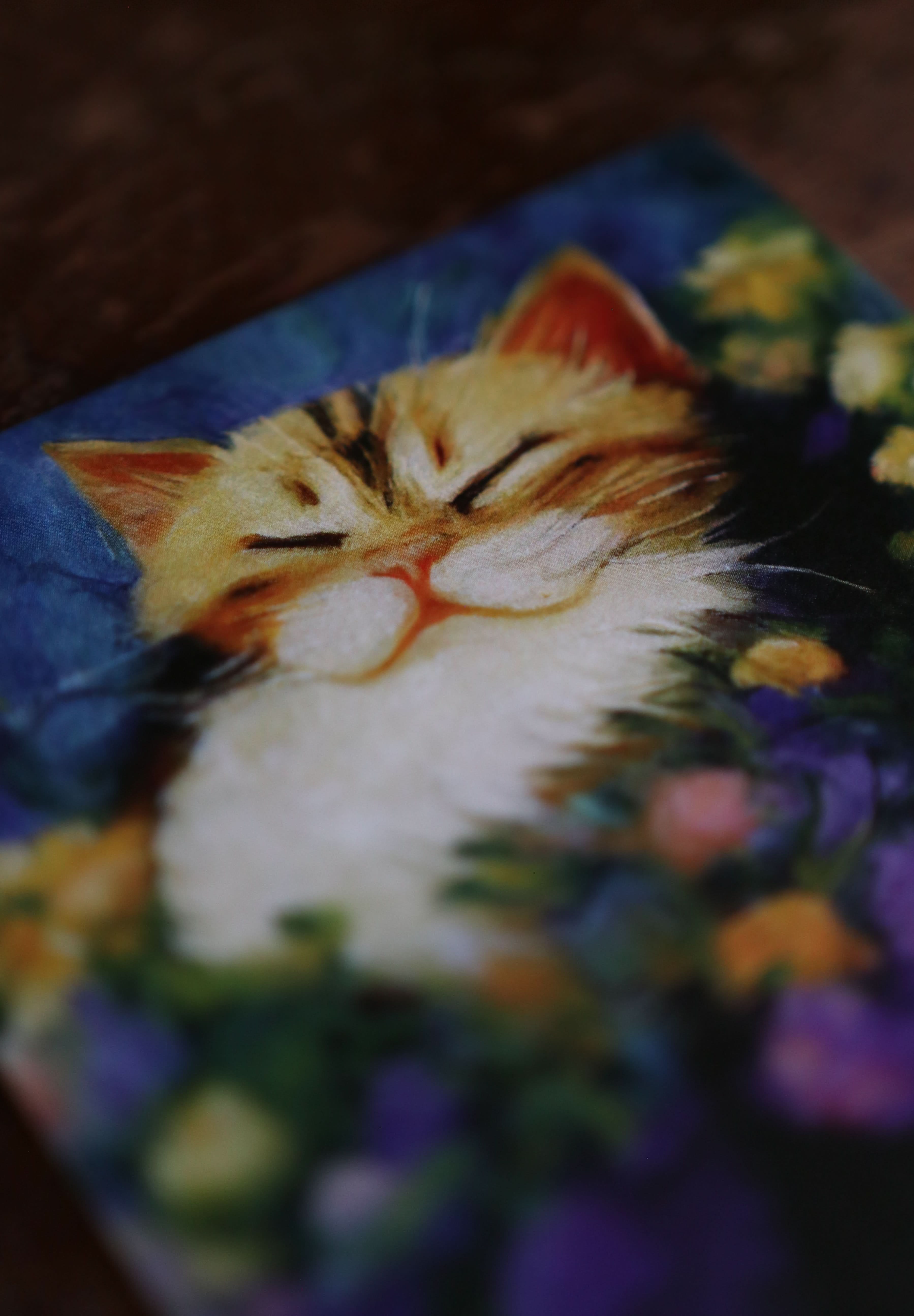 Image of Cats, Kitties, Meows - Notecard / Stationery / Art - 10 Count. - Novelbookstore.co