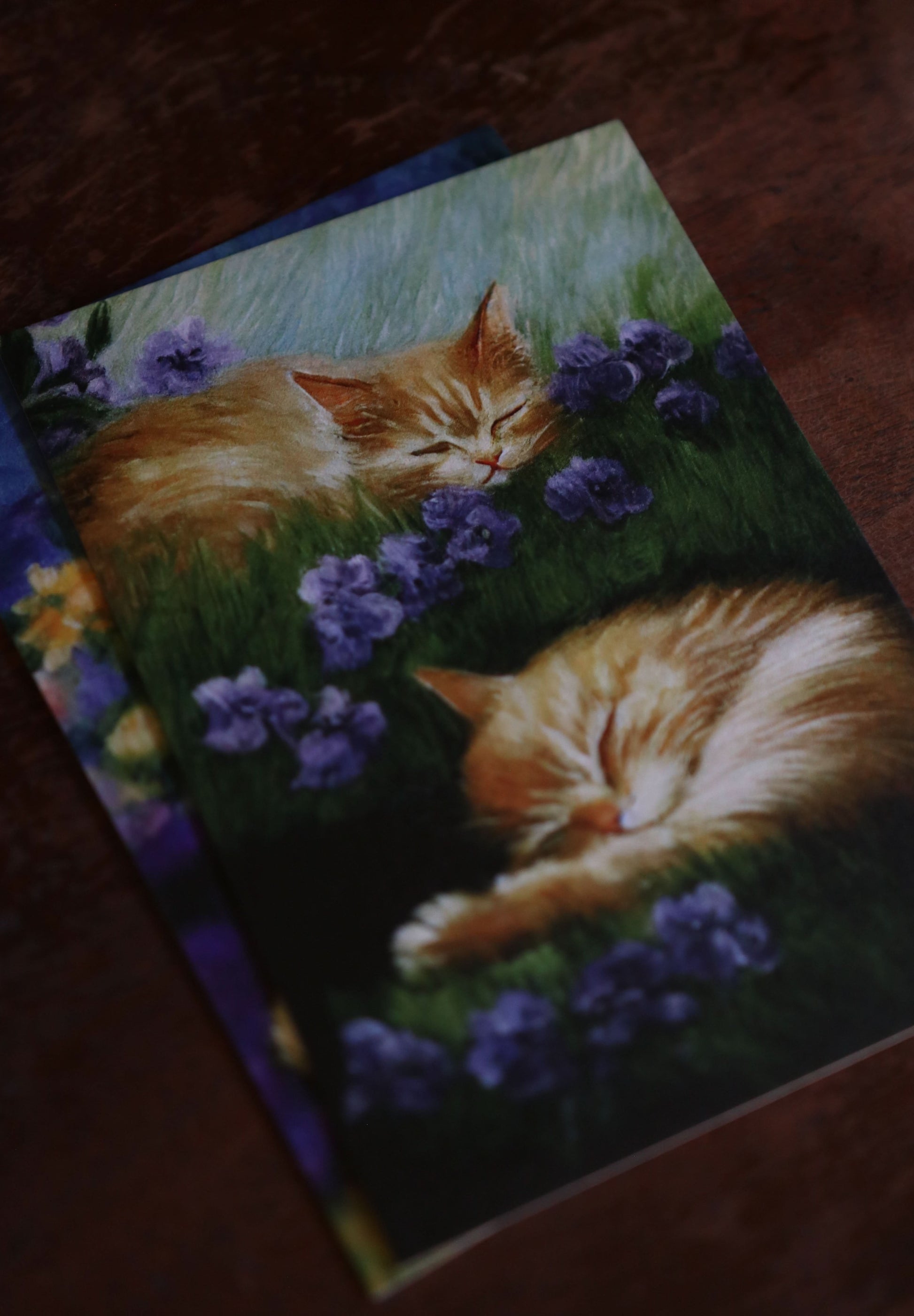 Cats, Kitties, Meows - Notecard / Stationery / Art - 10 Count. - Novelbookstore.co