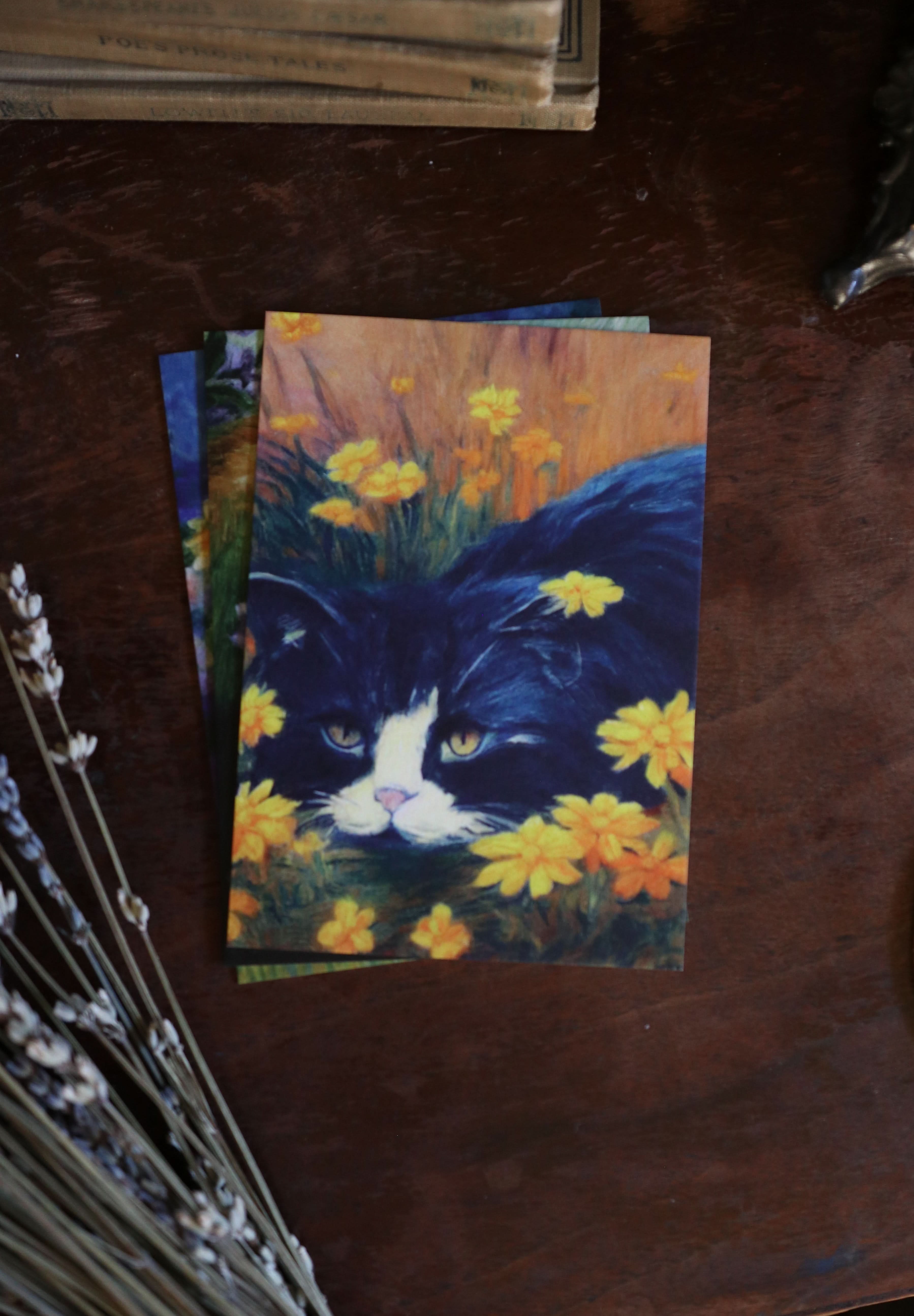 Image of Cats, Kitties, Meows - Notecard / Stationery / Art - 10 Count. - Novelbookstore.co