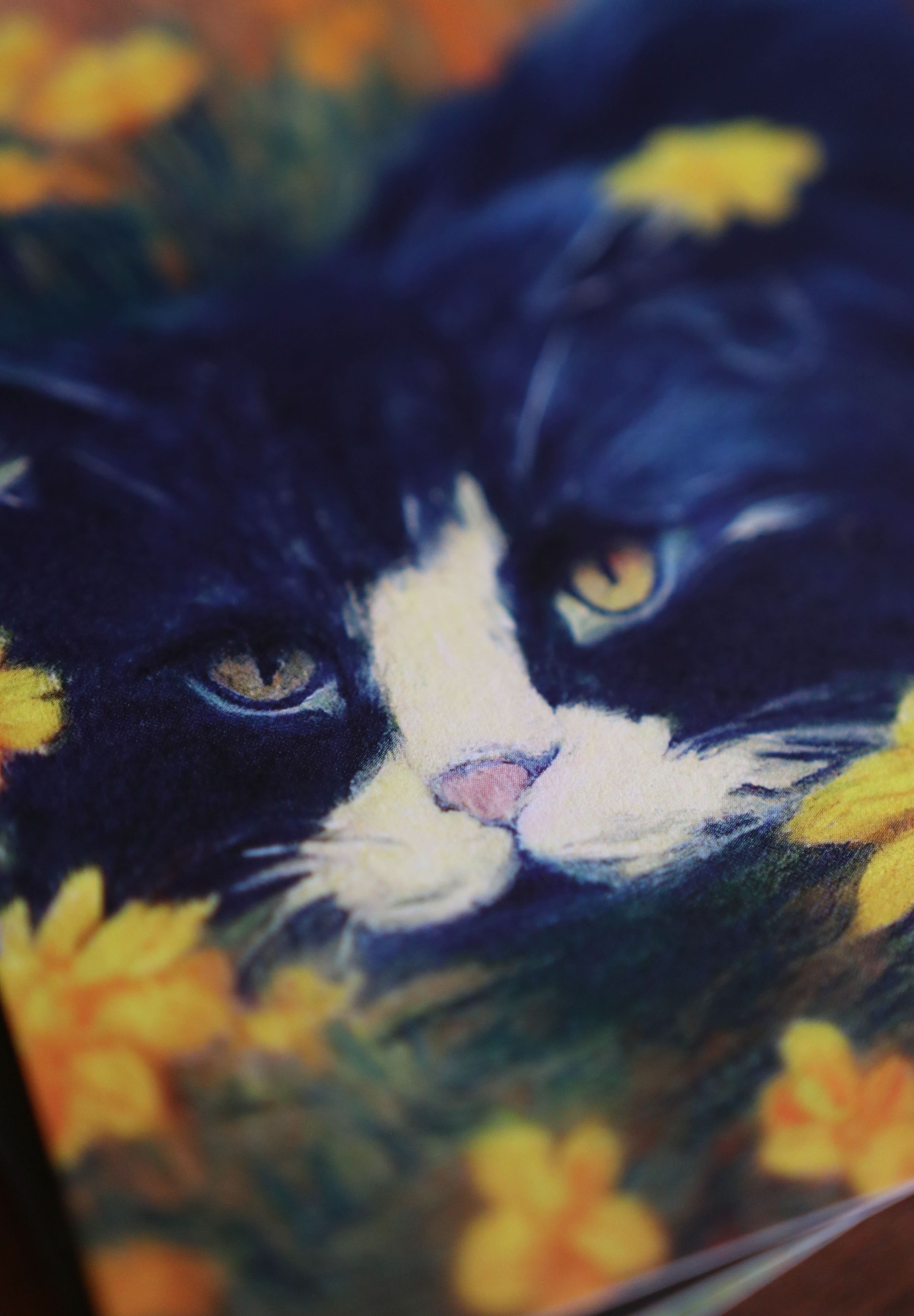 Image of Cats, Kitties, Meows - Notecard / Stationery / Art - 10 Count. - Novelbookstore.co