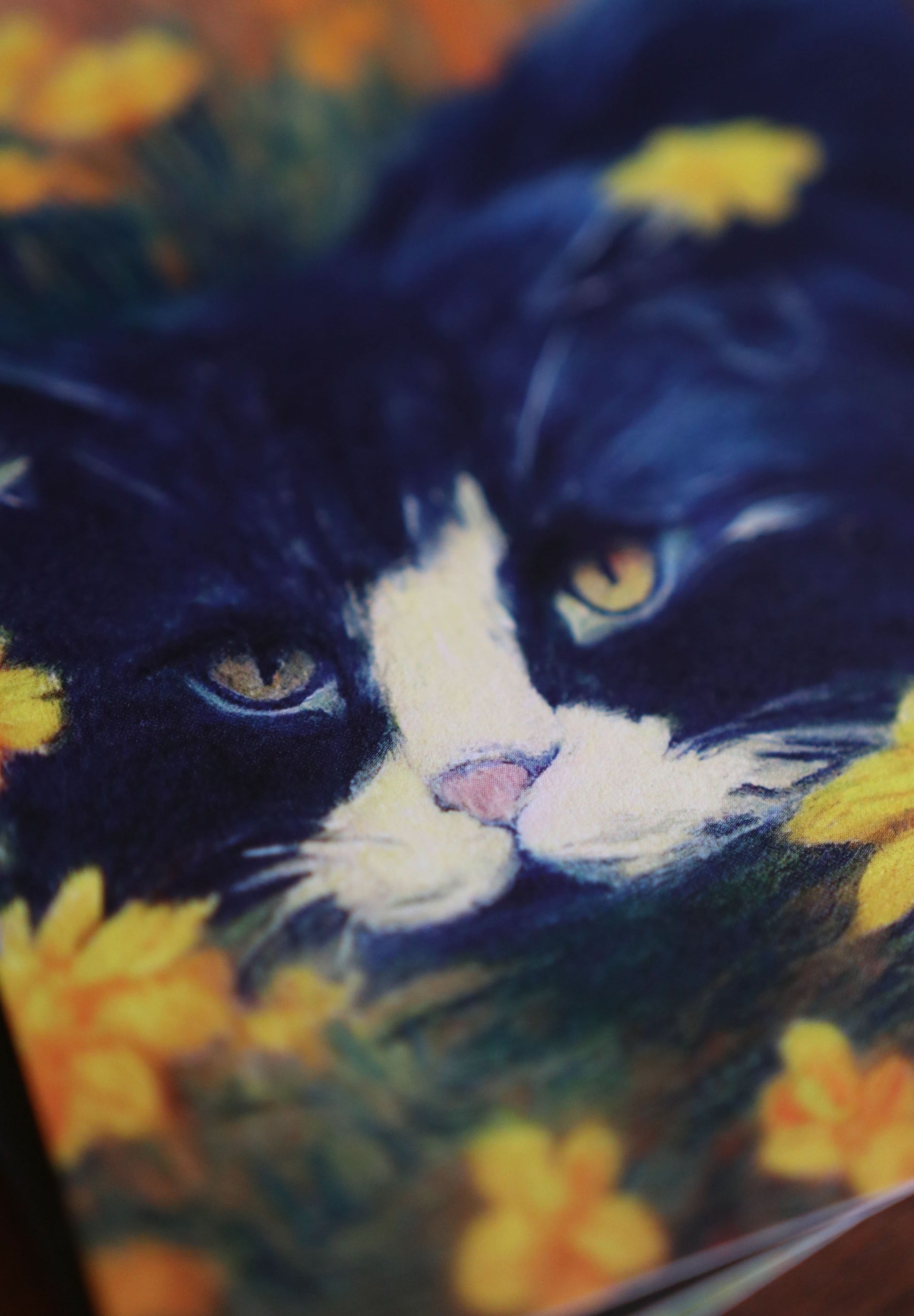 Cats, Kitties, Meows - Notecard / Stationery / Art - 10 Count. - Novelbookstore.co