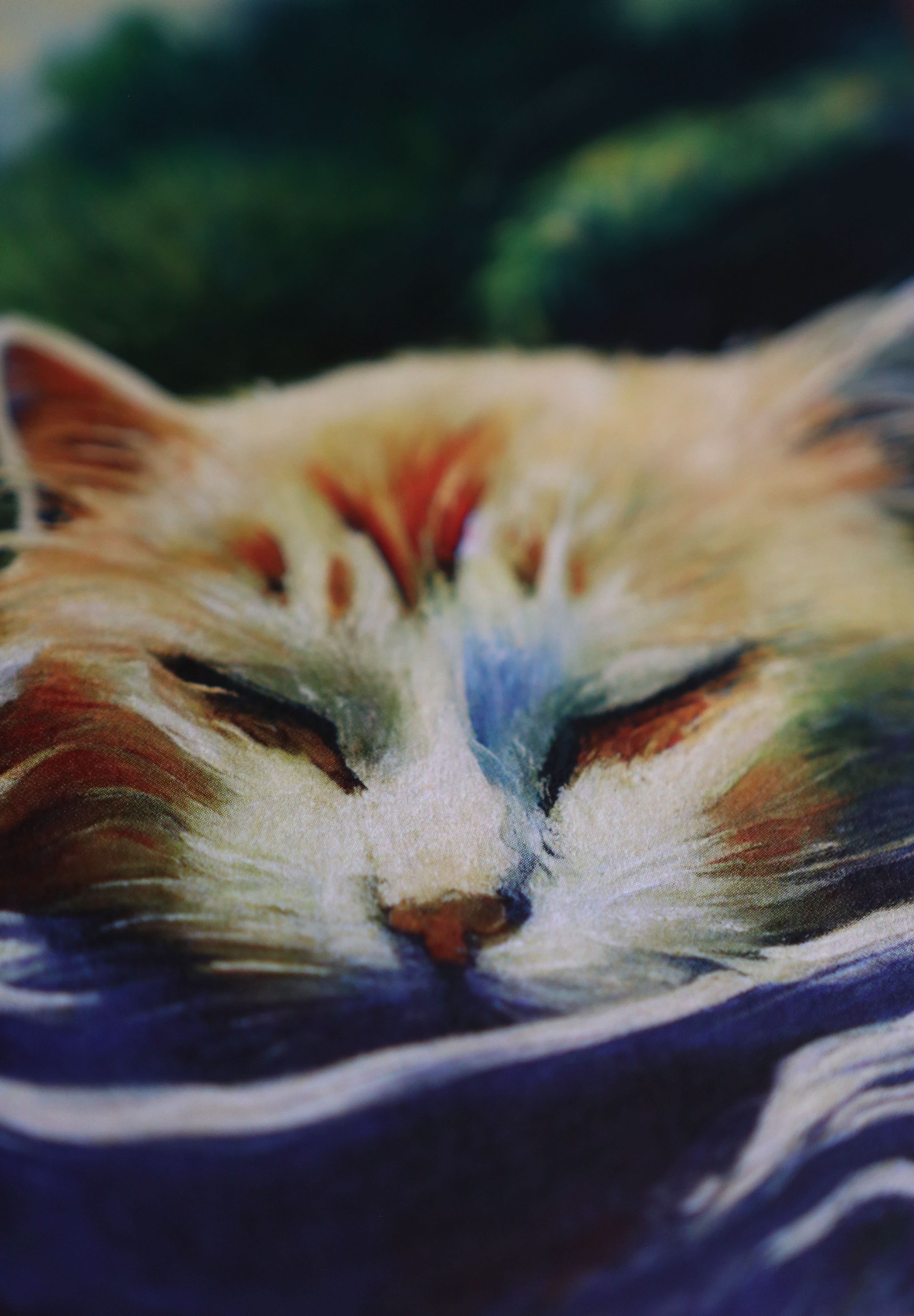 Image of Cats, Kitties, Meows - Notecard / Stationery / Art - 10 Count. - Novelbookstore.co