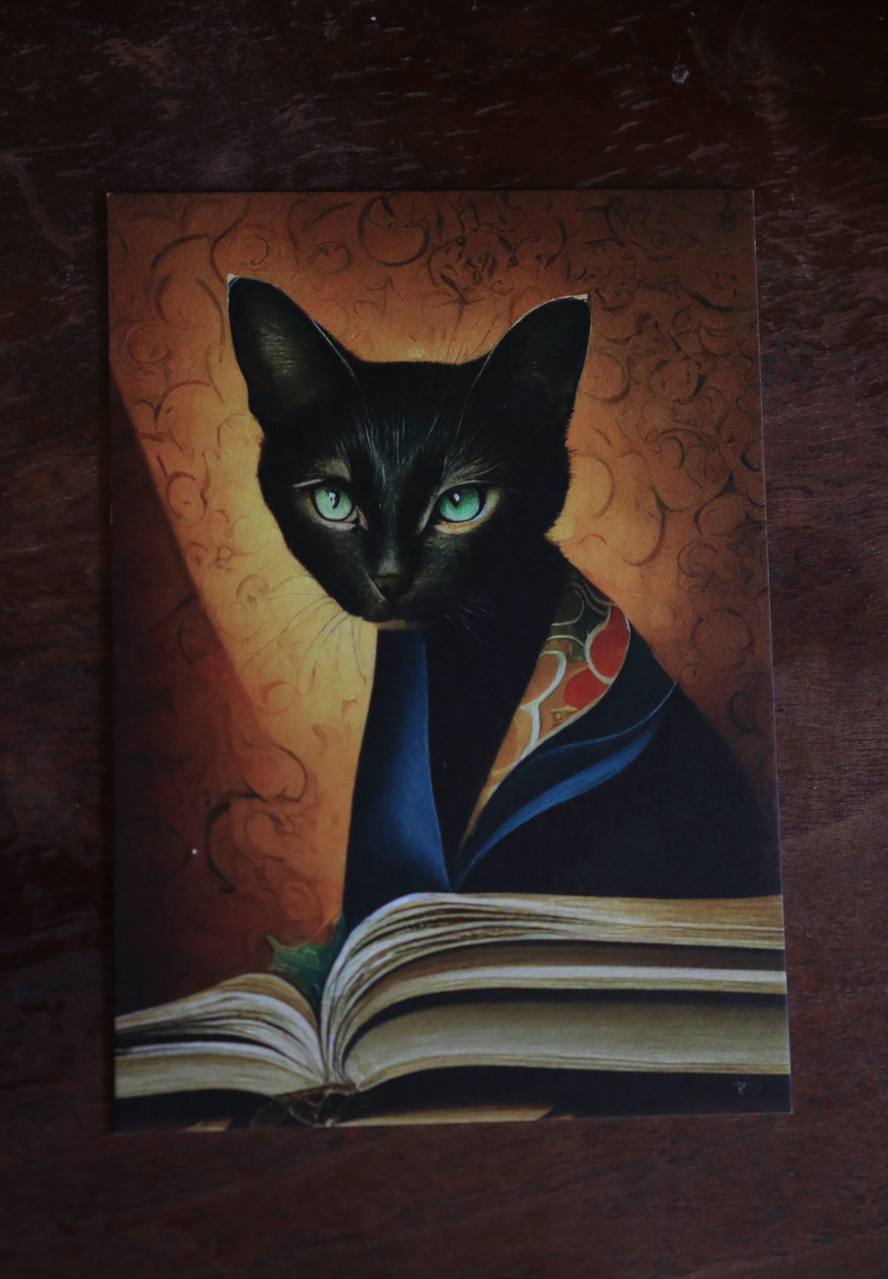 Image of Cats, Kitties, Meows - Notecard / Stationery / Art - 10 Count. - Novelbookstore.co