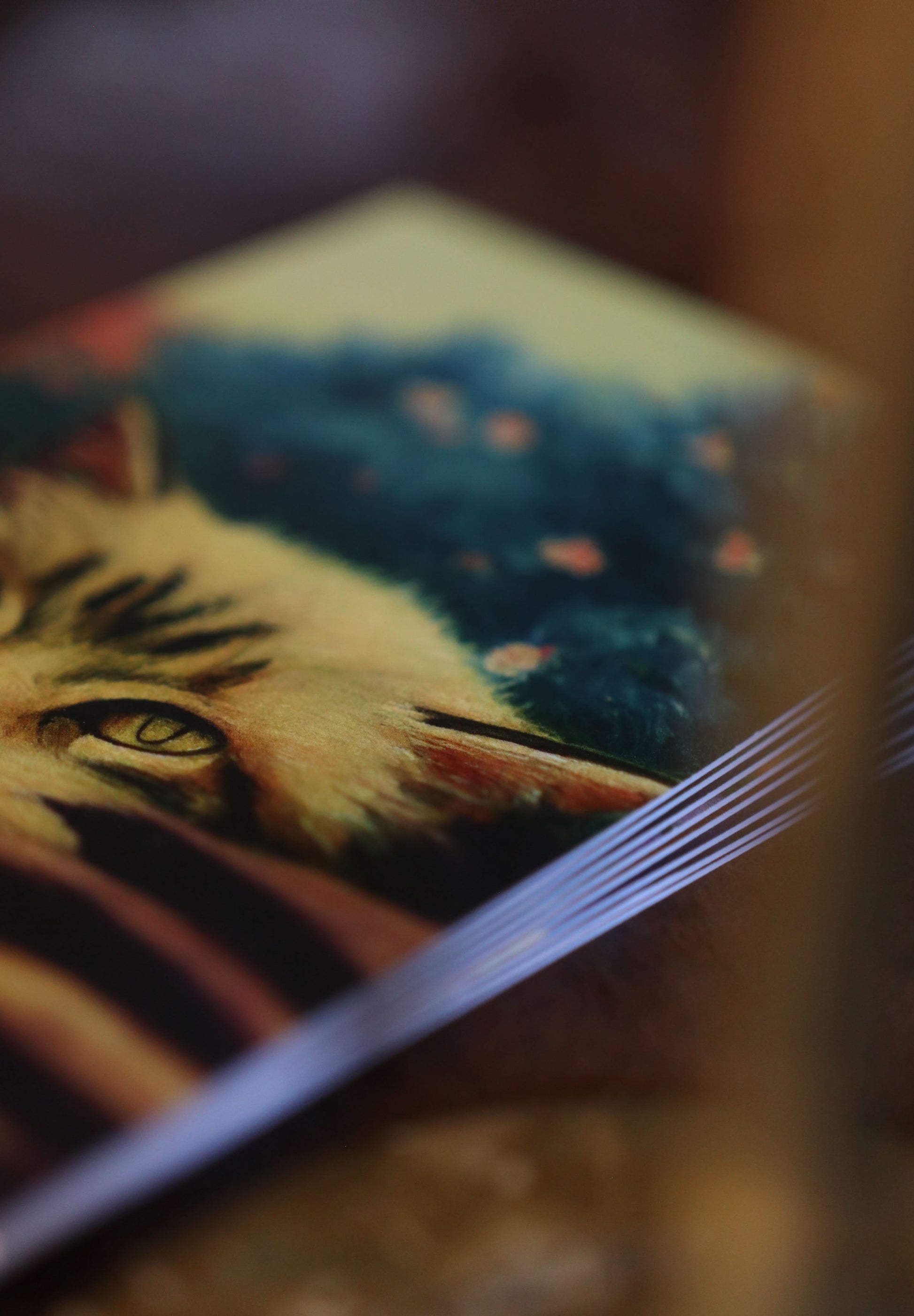 Cats, Kitties, Meows - Notecard / Stationery / Art - 10 Count. - Novelbookstore.co
