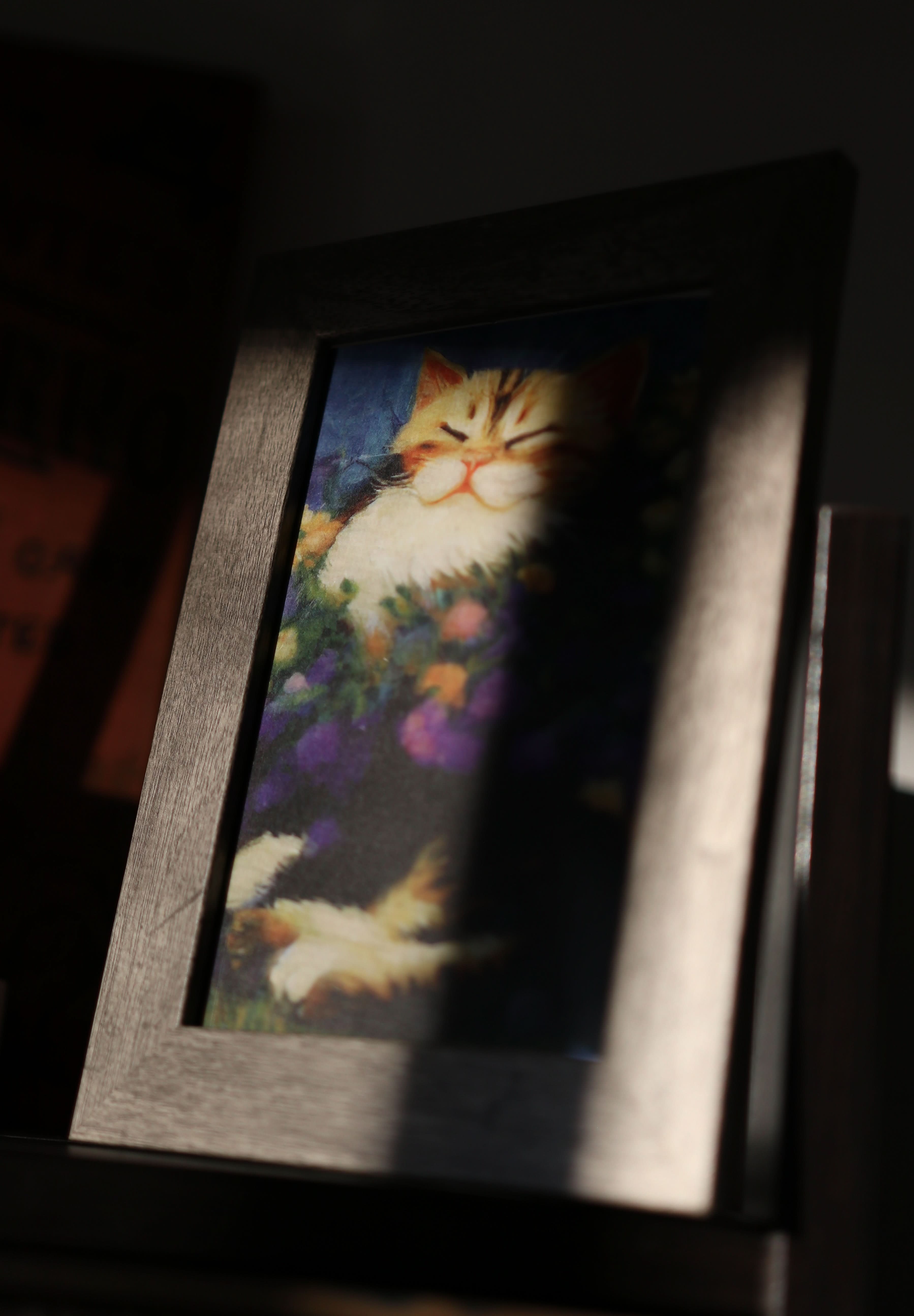 Image of Cats, Kitties, Meows - Notecard / Stationery / Art - 10 Count. - Novelbookstore.co