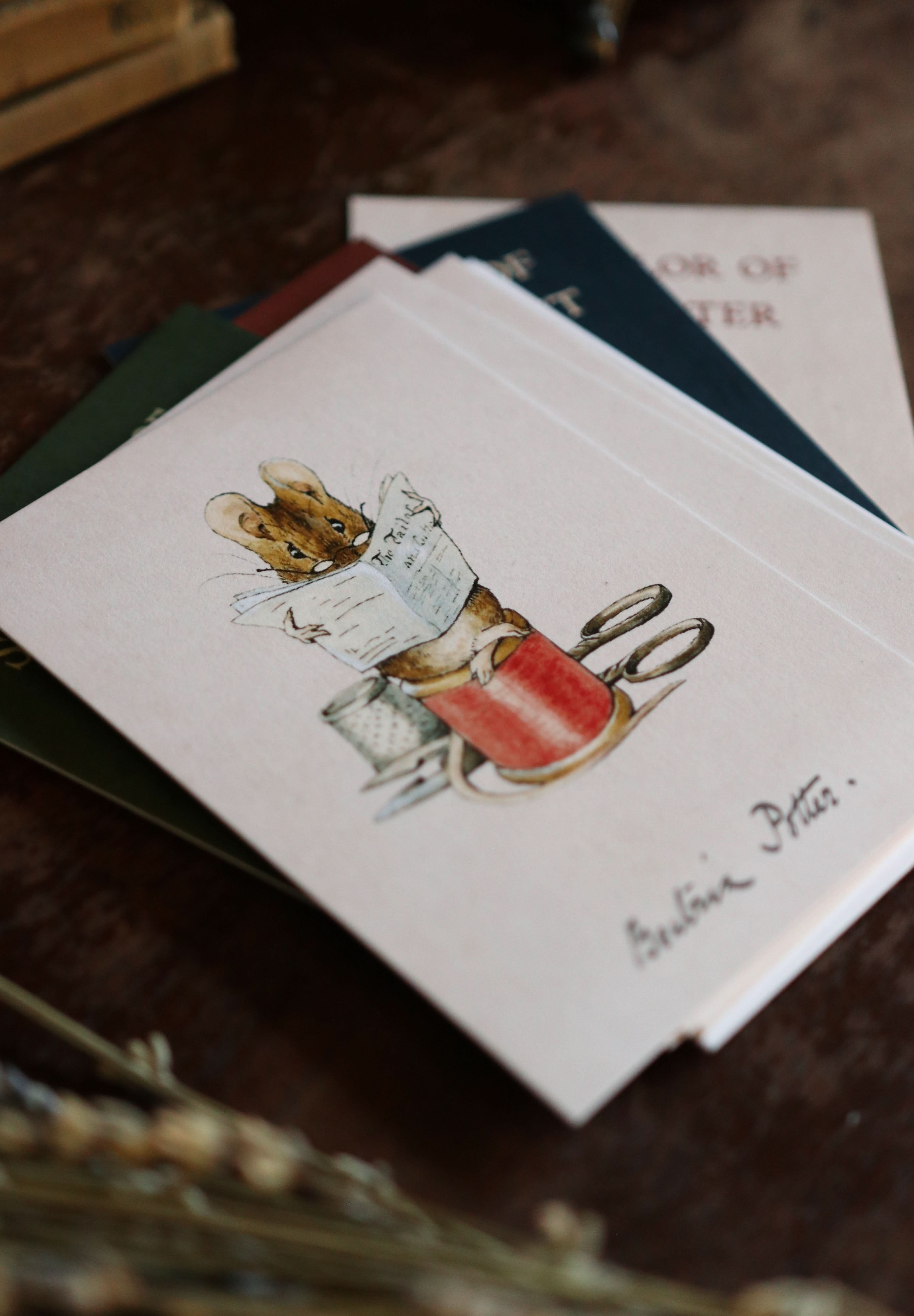 Image of Beatrix Potter - Notecard / Stationery / Art - 10 Count. - Novelbookstore.co