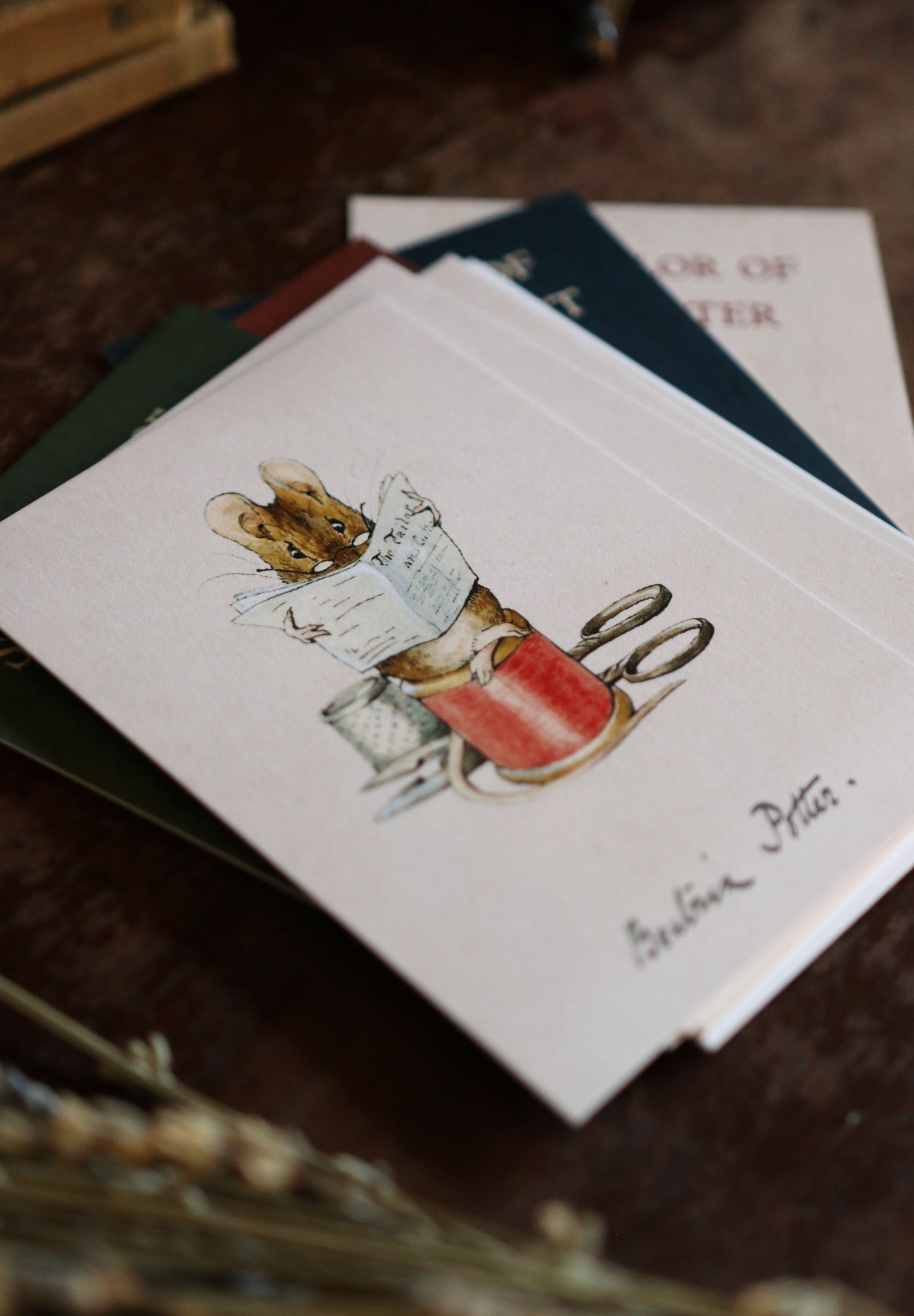Beatrix Potter - Notecard / Stationery / Art - 10 Count. - Novelbookstore.co
