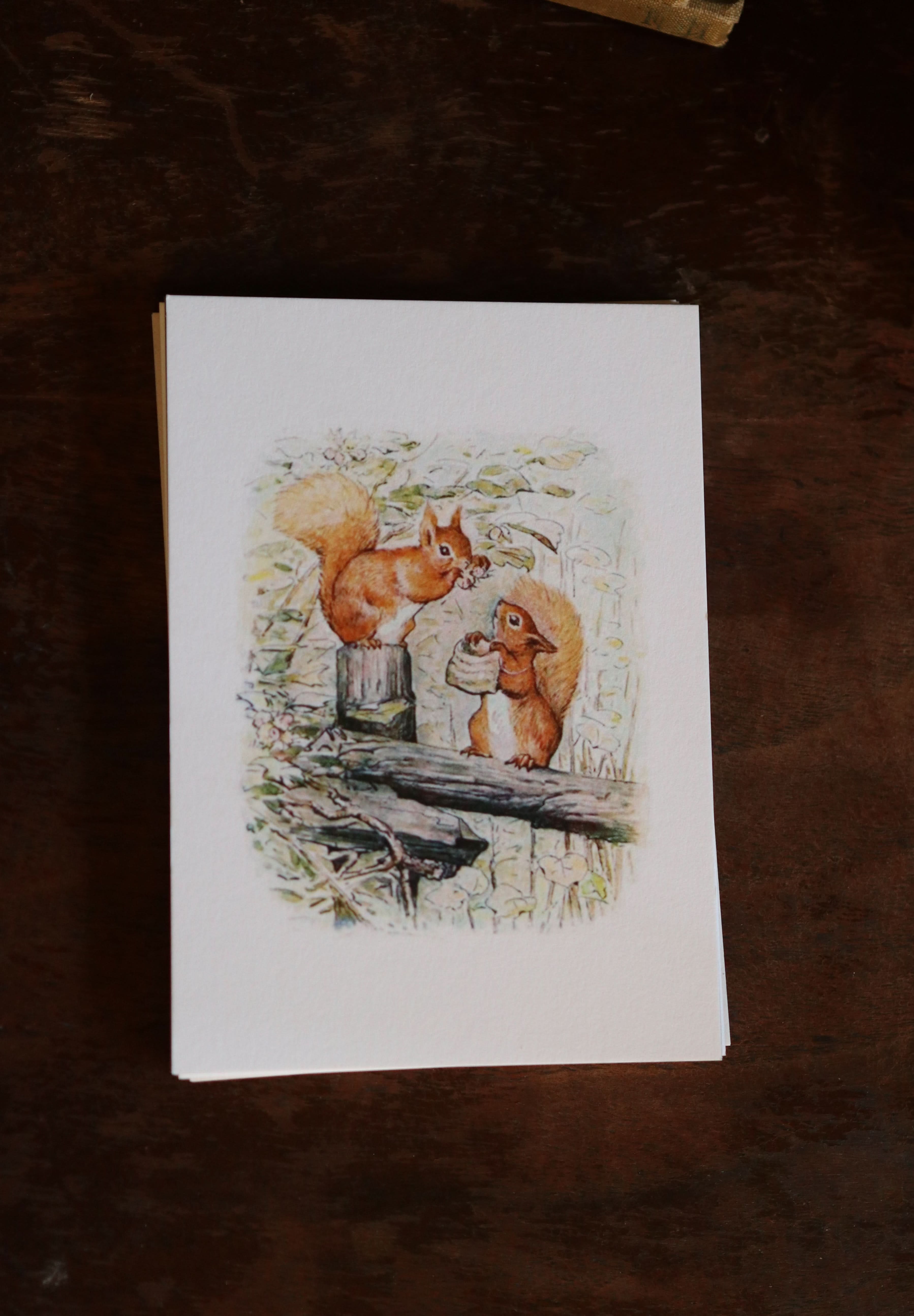 Image of Beatrix Potter - Notecard / Stationery / Art - 10 Count. - Novelbookstore.co