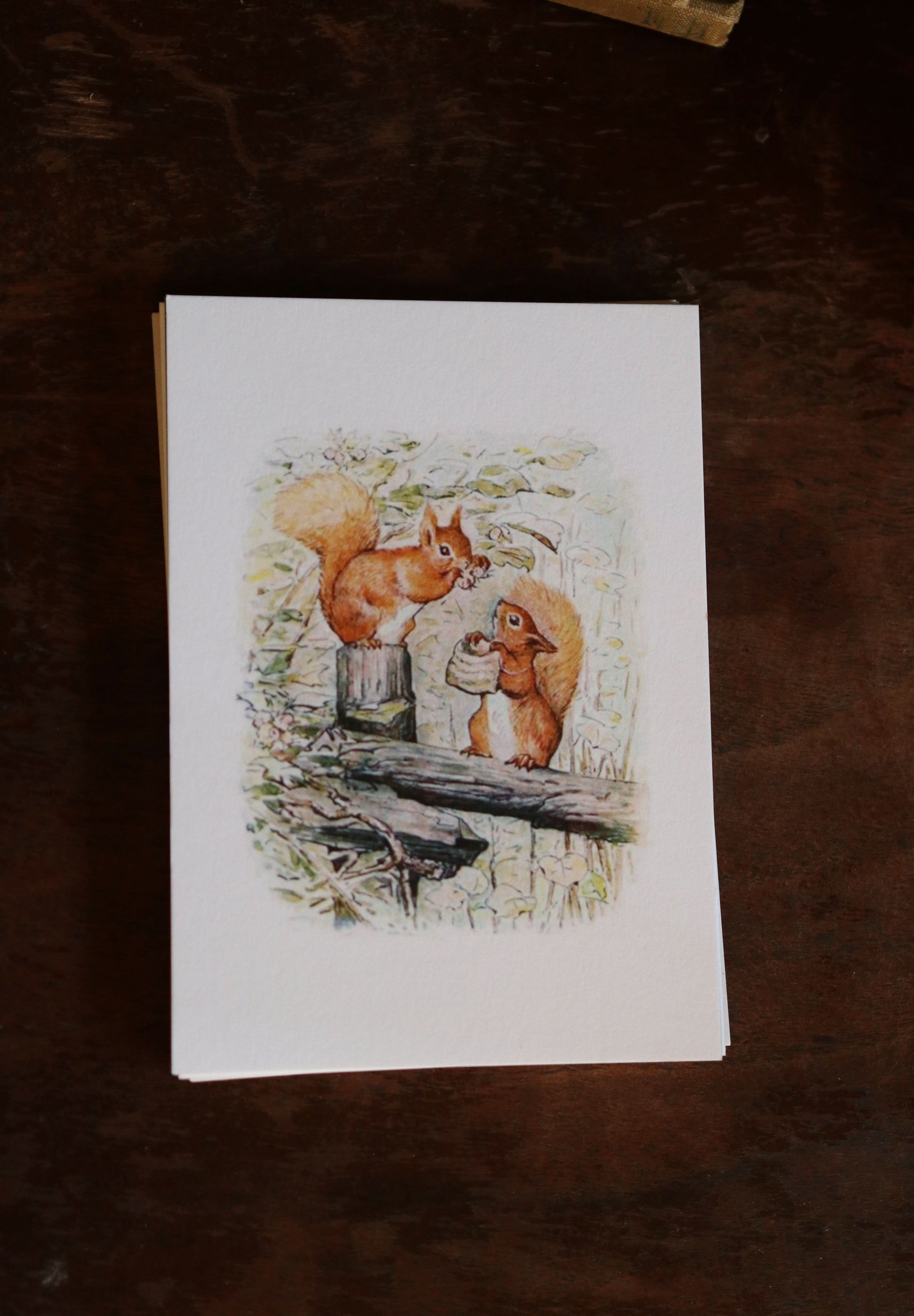 Beatrix Potter - Notecard / Stationery / Art - 10 Count. - Novelbookstore.co