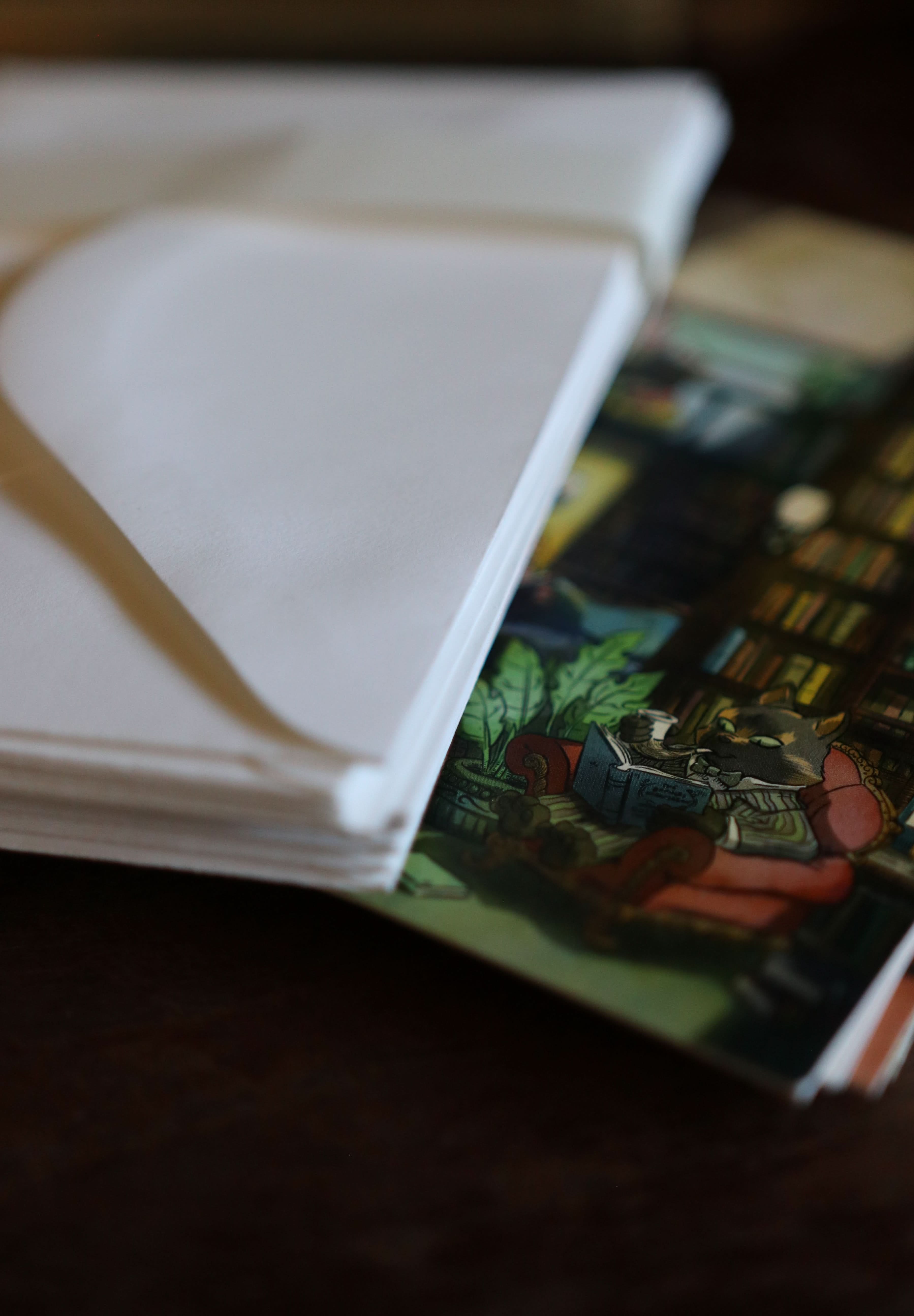 Image of Library Critters - Notecard / Stationery / Art - 10 Count. - Novelbookstore.co
