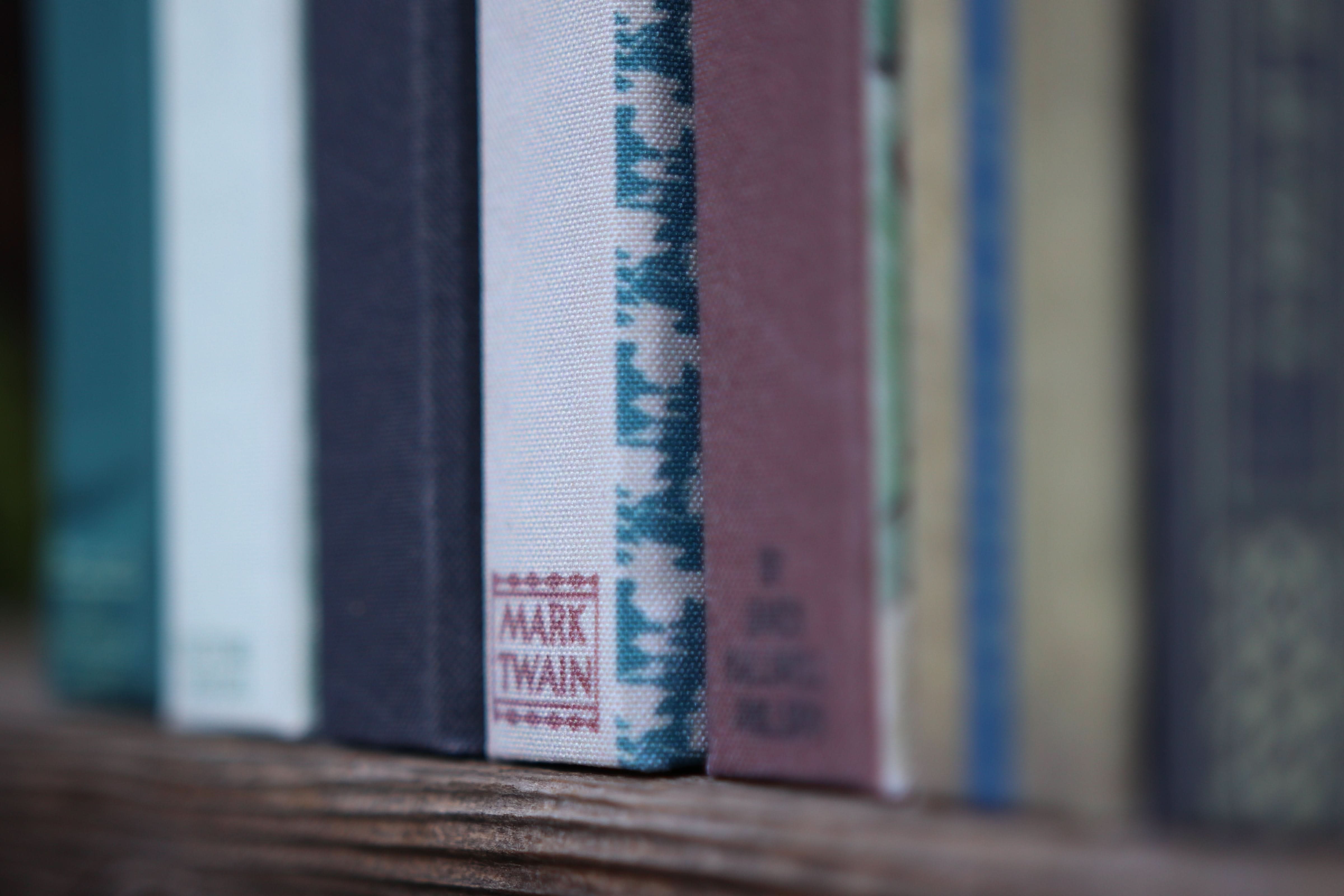 Image of Treasure Island by Robert Louis Stevenson 1883  Book Wallet - Novelbookstore.co