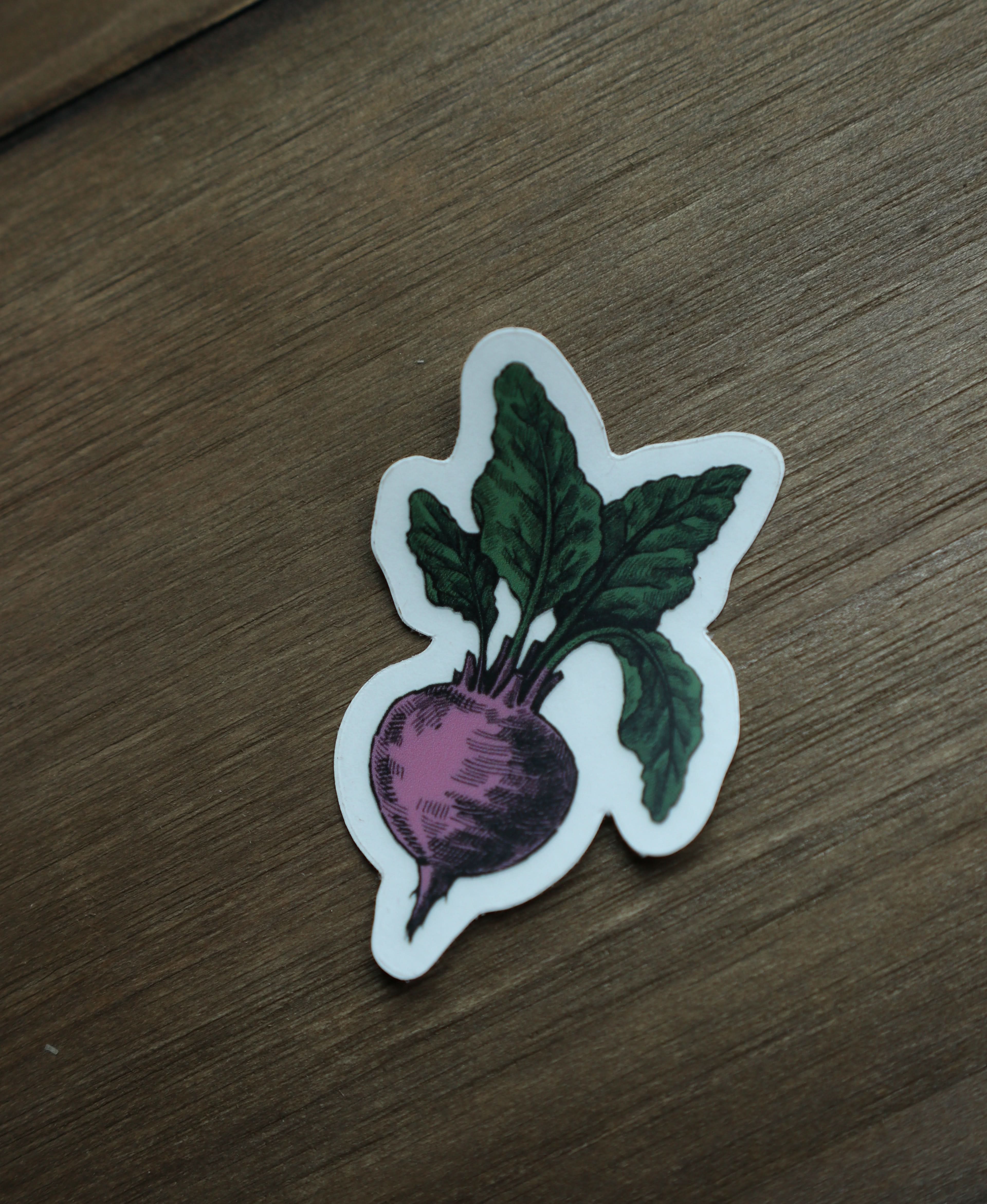 Image of Beet Sticker - Novelbookstore.co