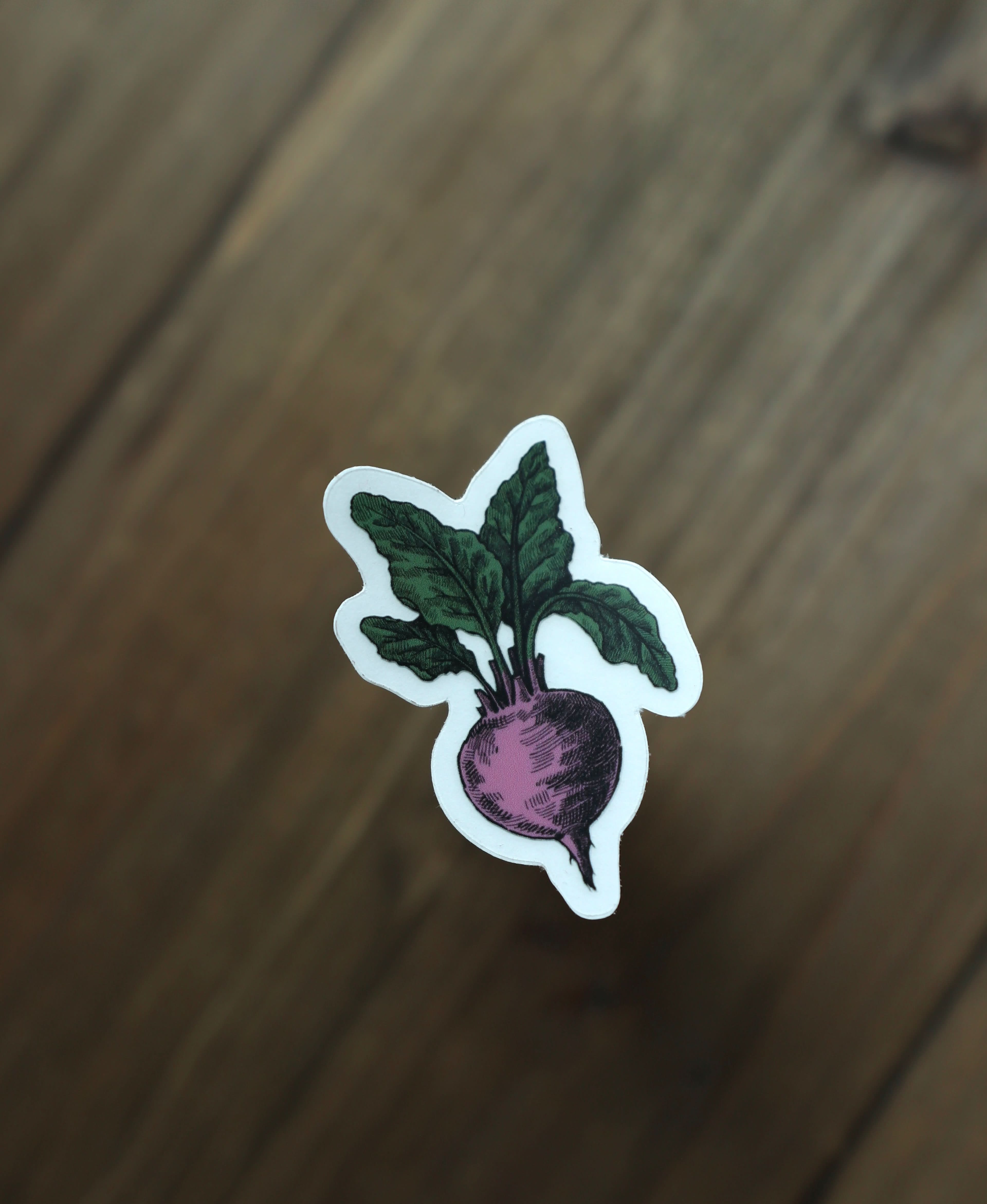 Image of Beet Sticker - Novelbookstore.co