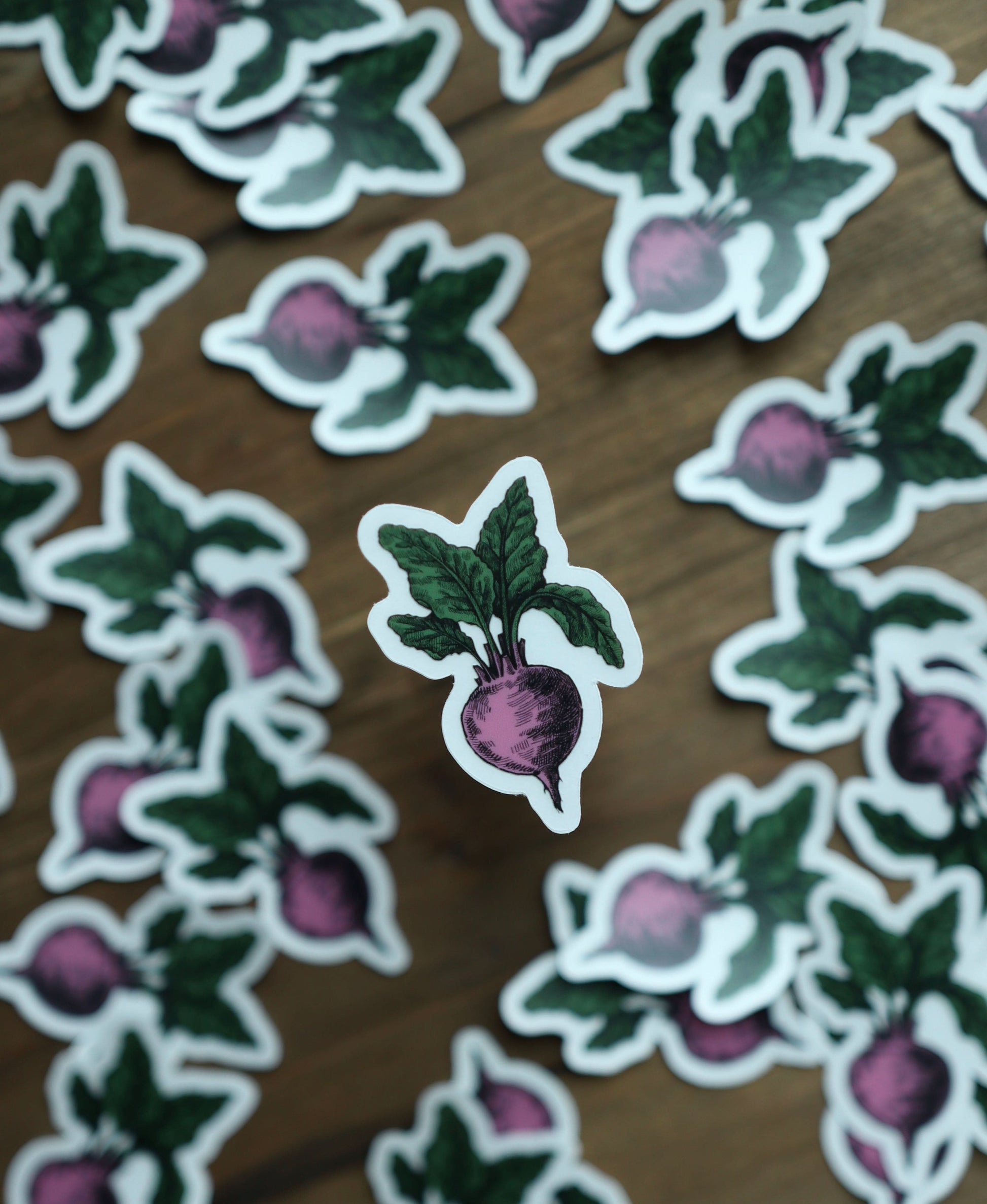 Beet Sticker - Novelbookstore.co