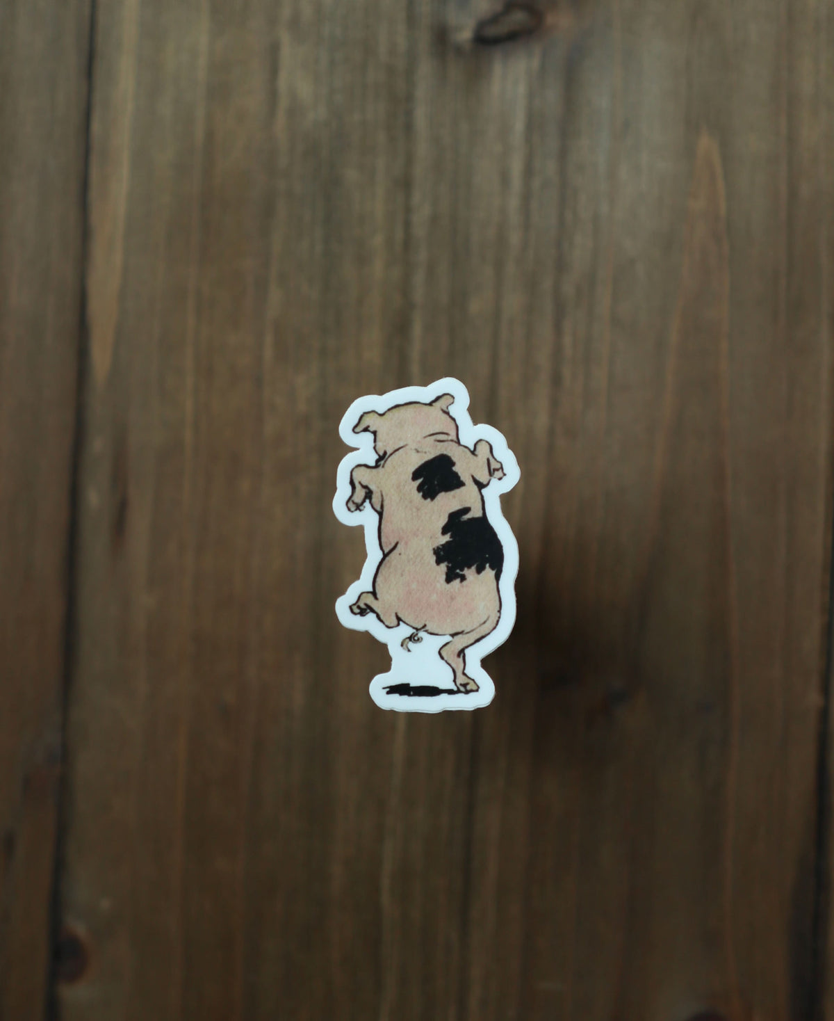 Sticker -  The Straw Pig - Novelbookstore.co