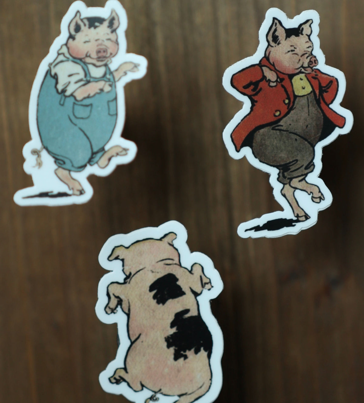 Sticker -  The Straw Pig - Novelbookstore.co