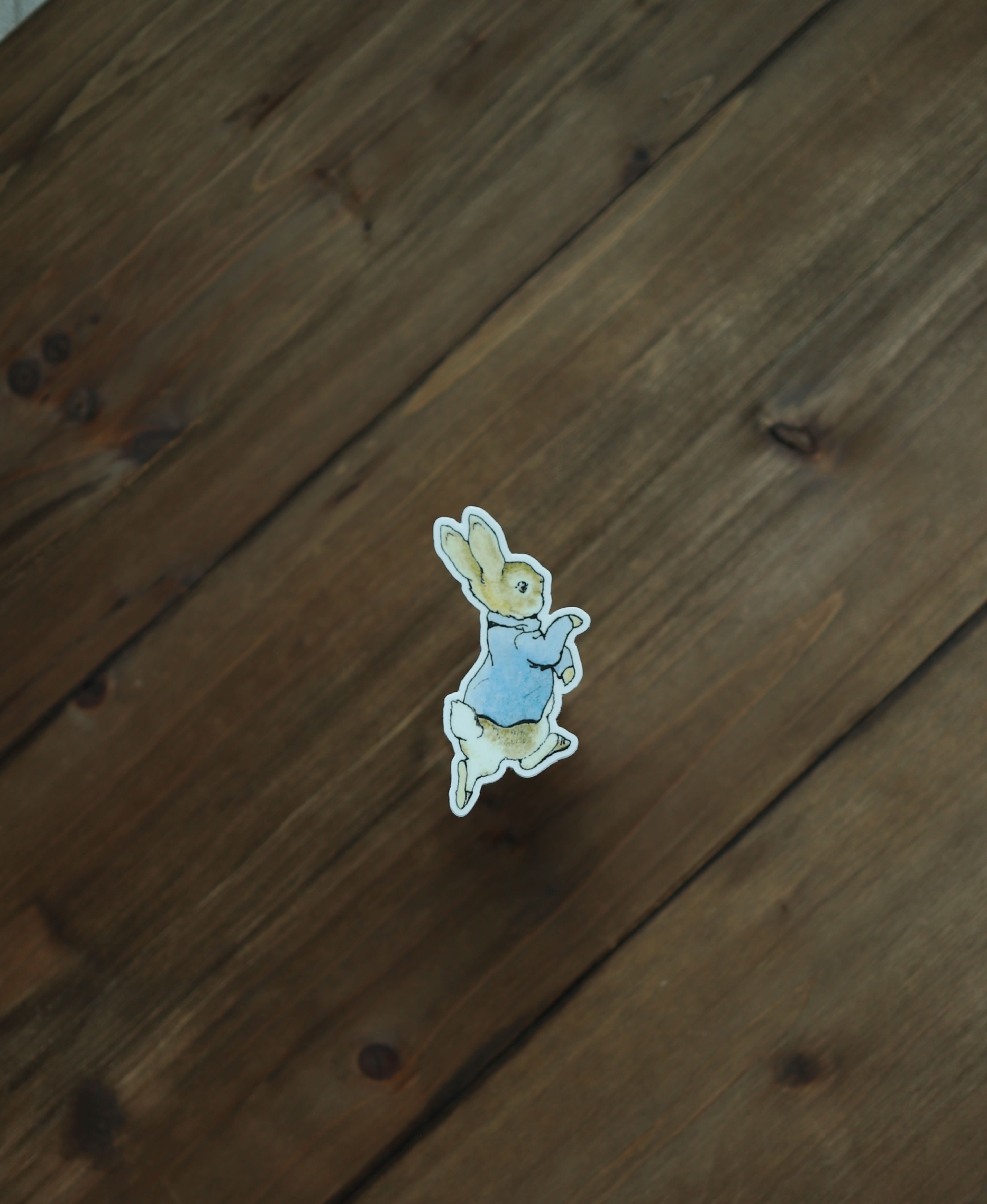 Image of Sticker - Peter Rabbit - Novelbookstore.co