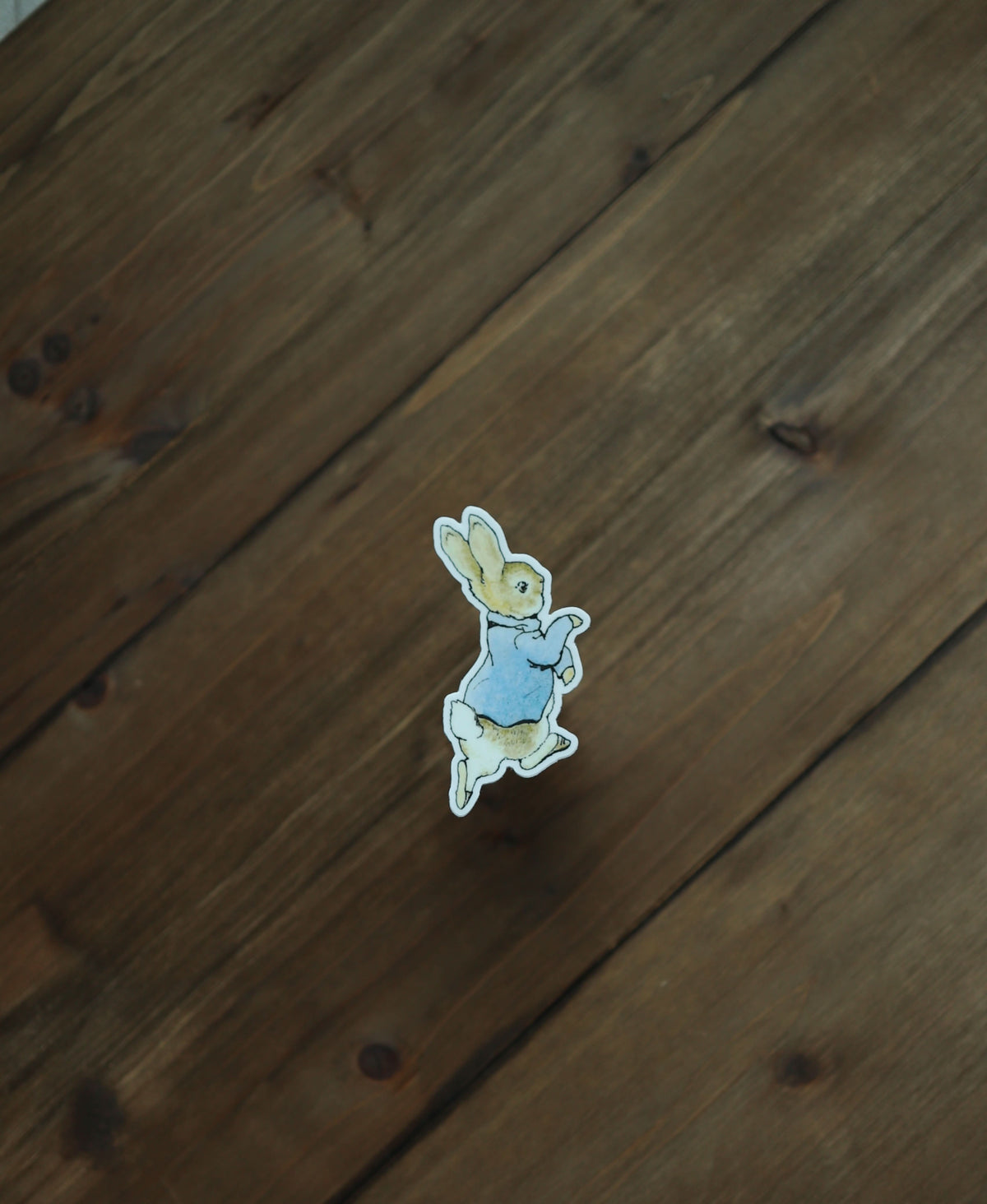 Sticker - Peter Rabbit - Novelbookstore.co