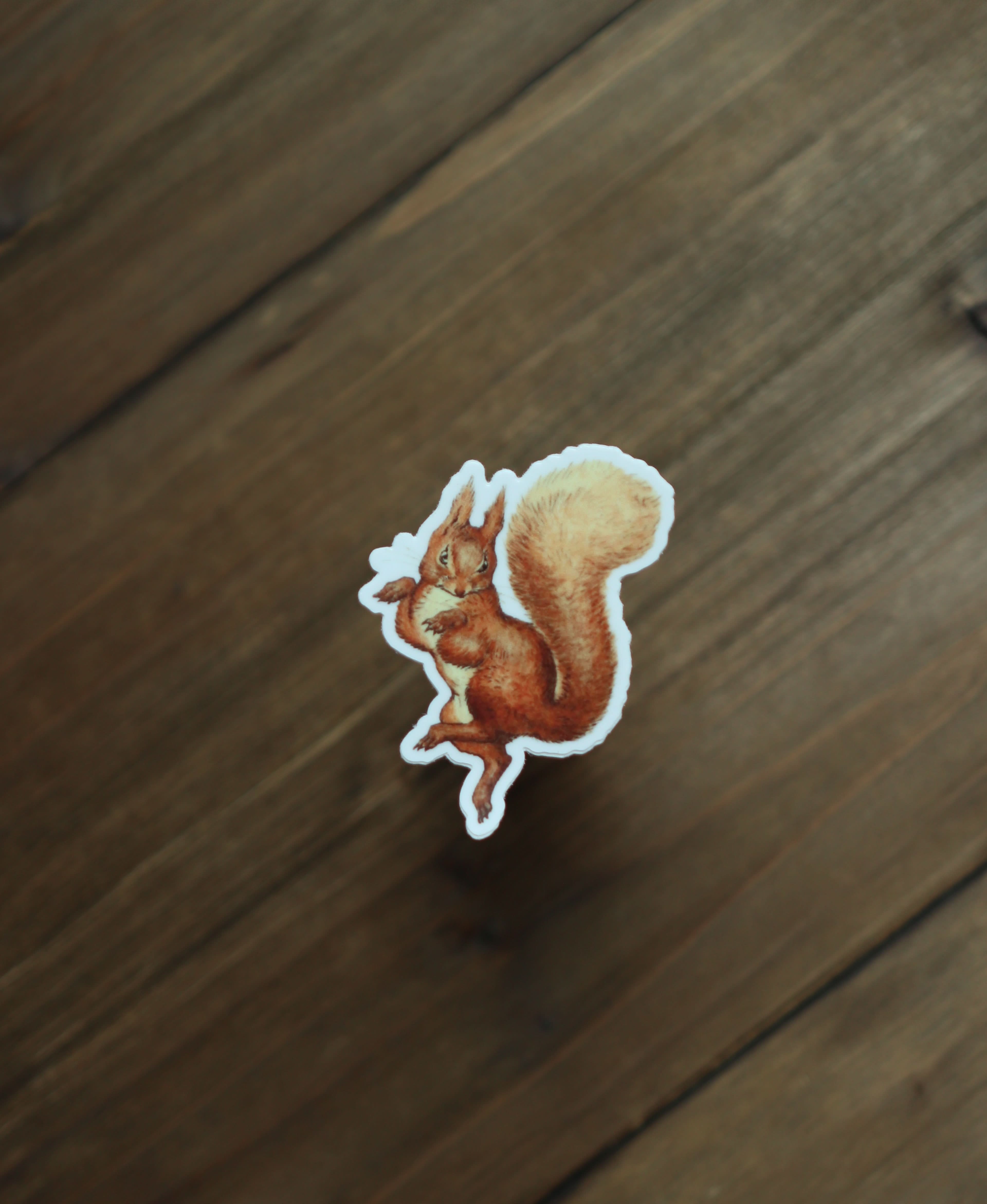 Image of Sticker - Squirrel Nutkin - Novelbookstore.co