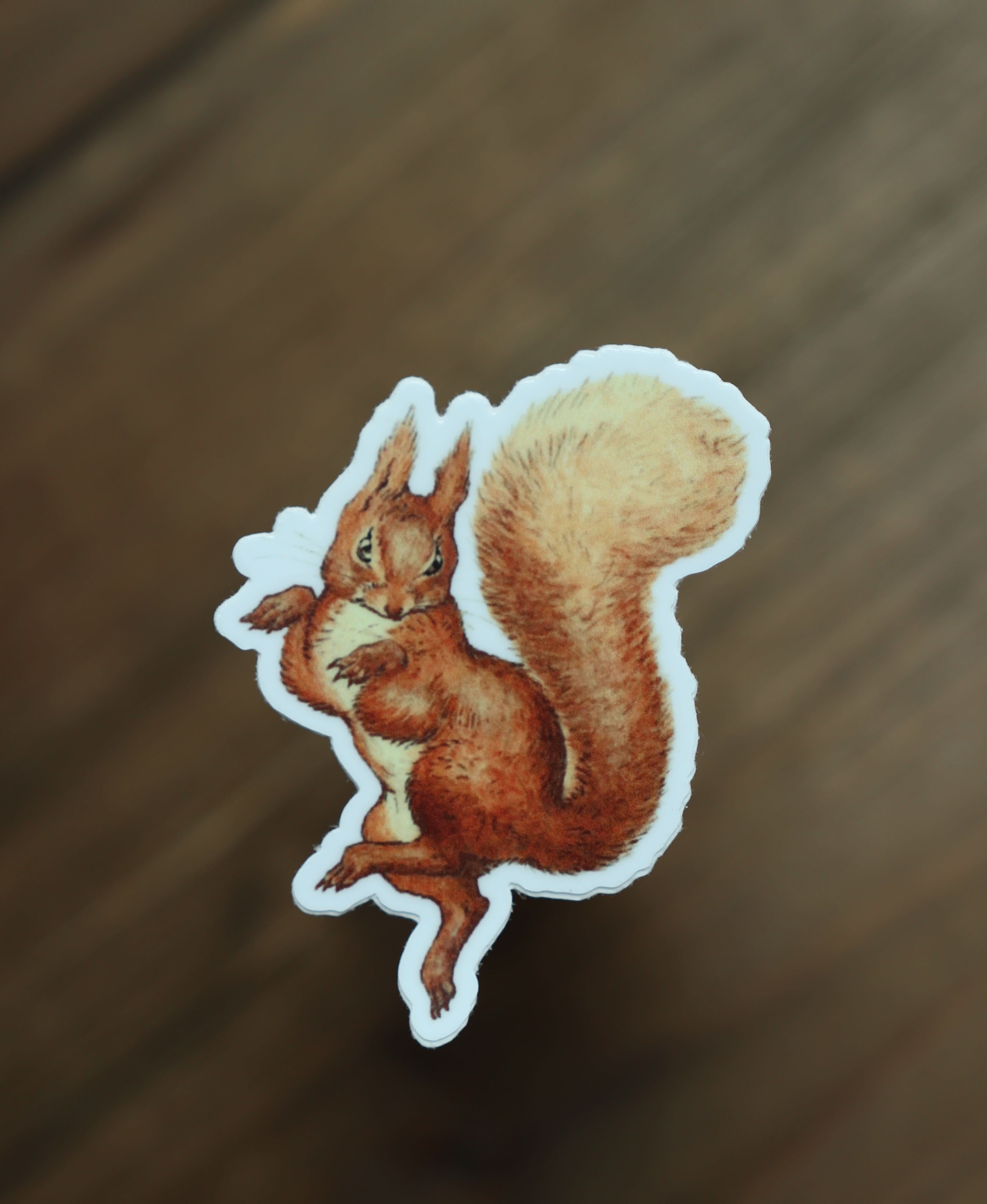 Image of Sticker - Squirrel Nutkin - Novelbookstore.co