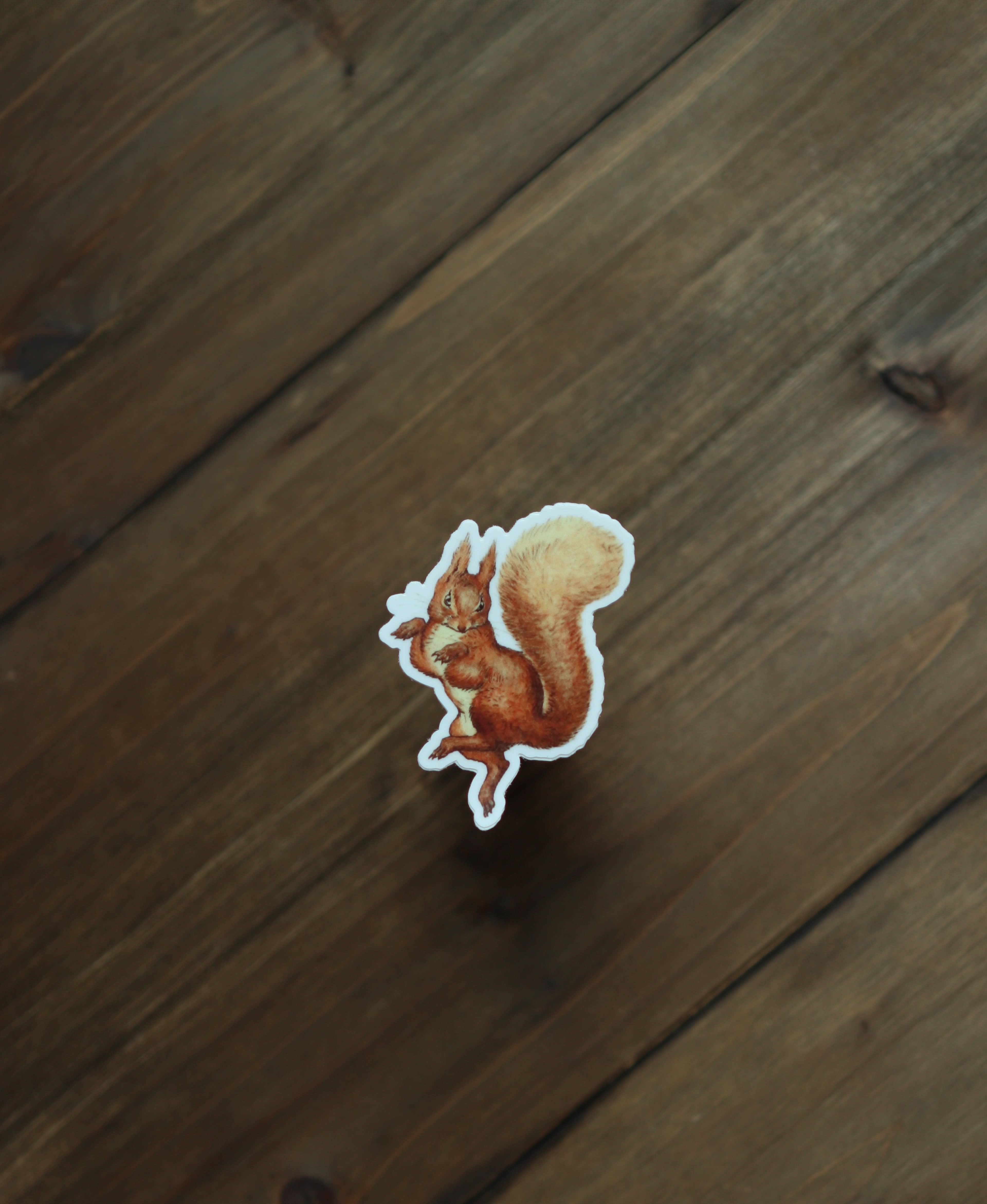 Image of Sticker - Squirrel Nutkin - Novelbookstore.co