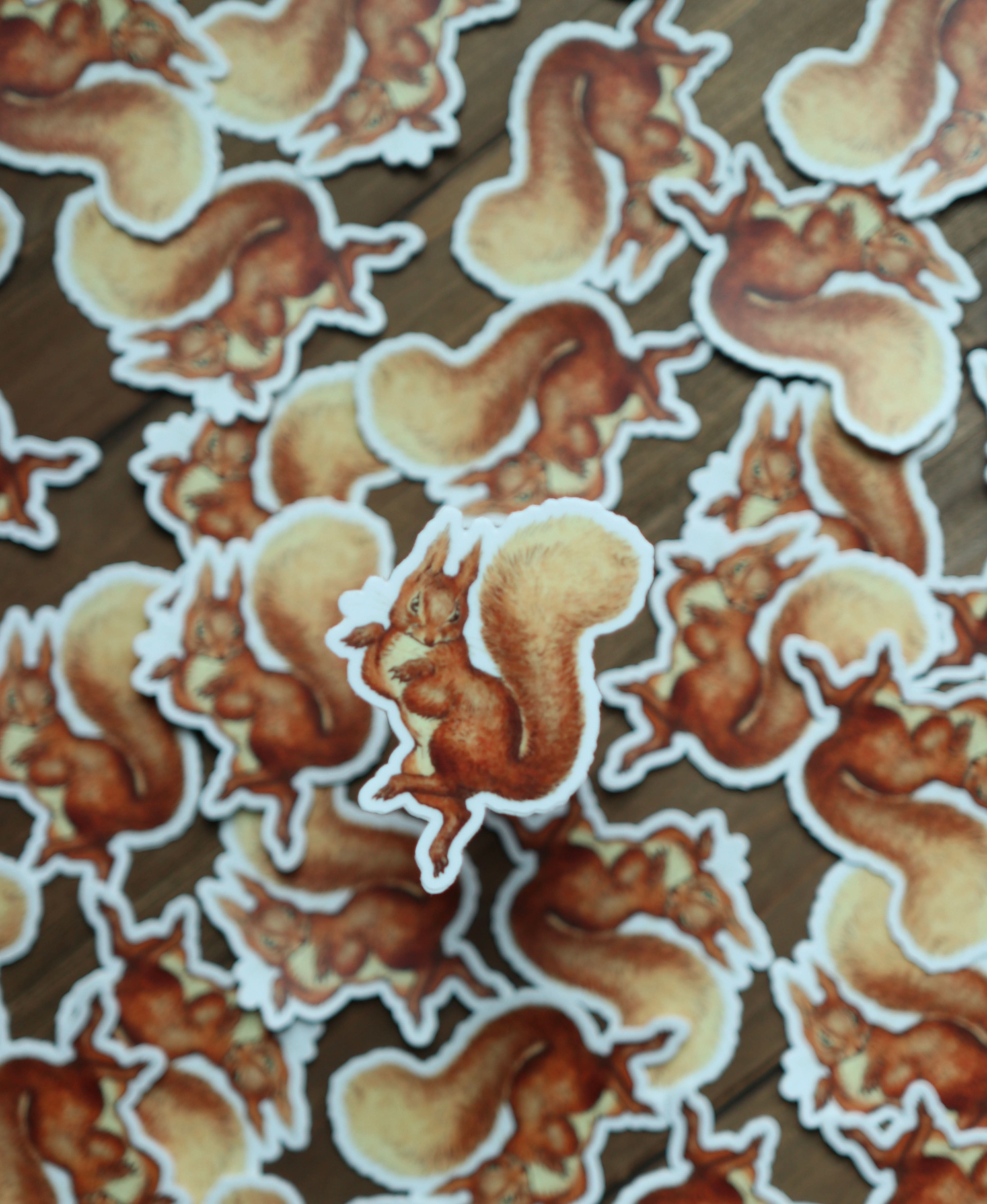 Image of Sticker - Squirrel Nutkin - Novelbookstore.co
