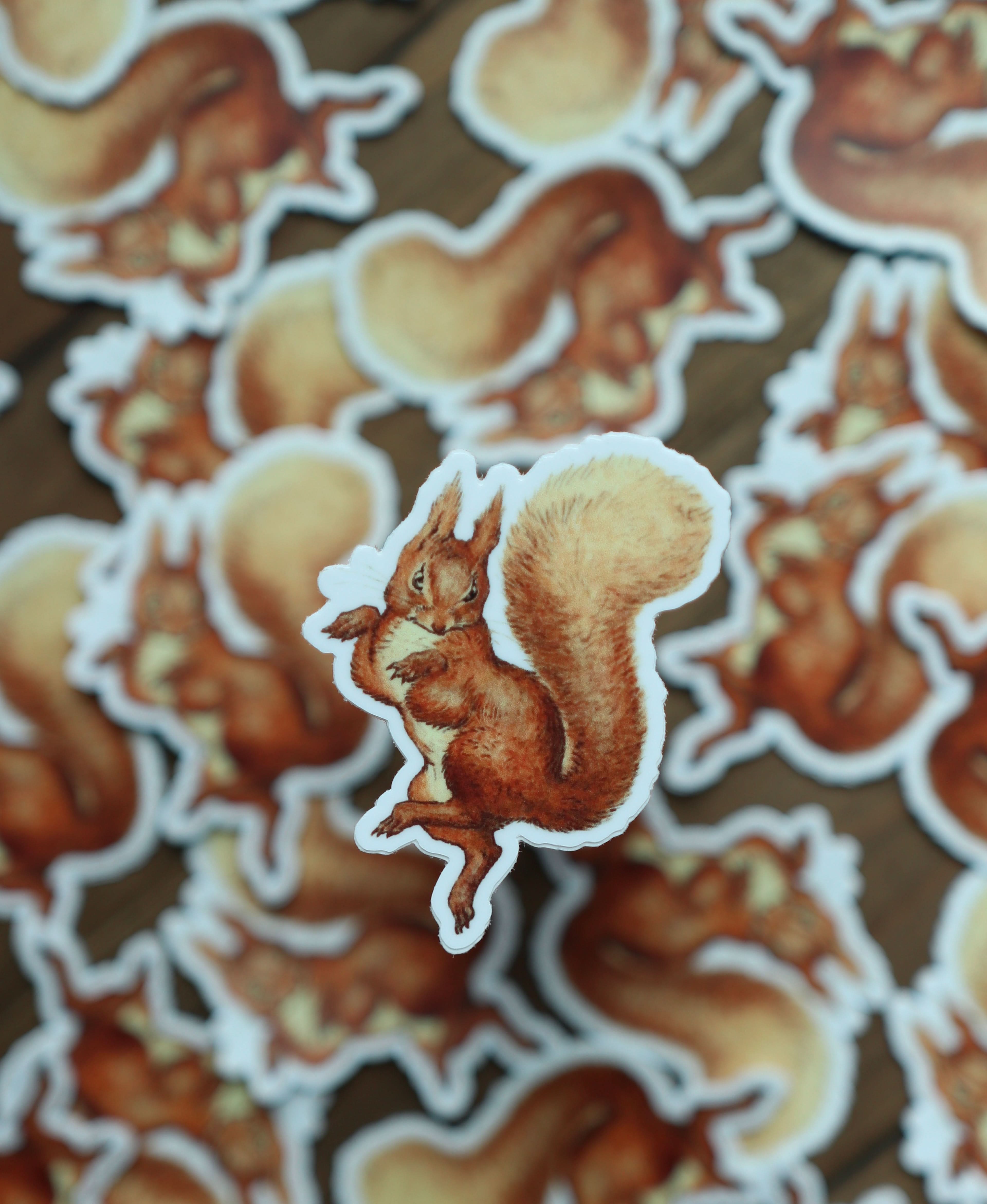 Image of Sticker - Squirrel Nutkin - Novelbookstore.co