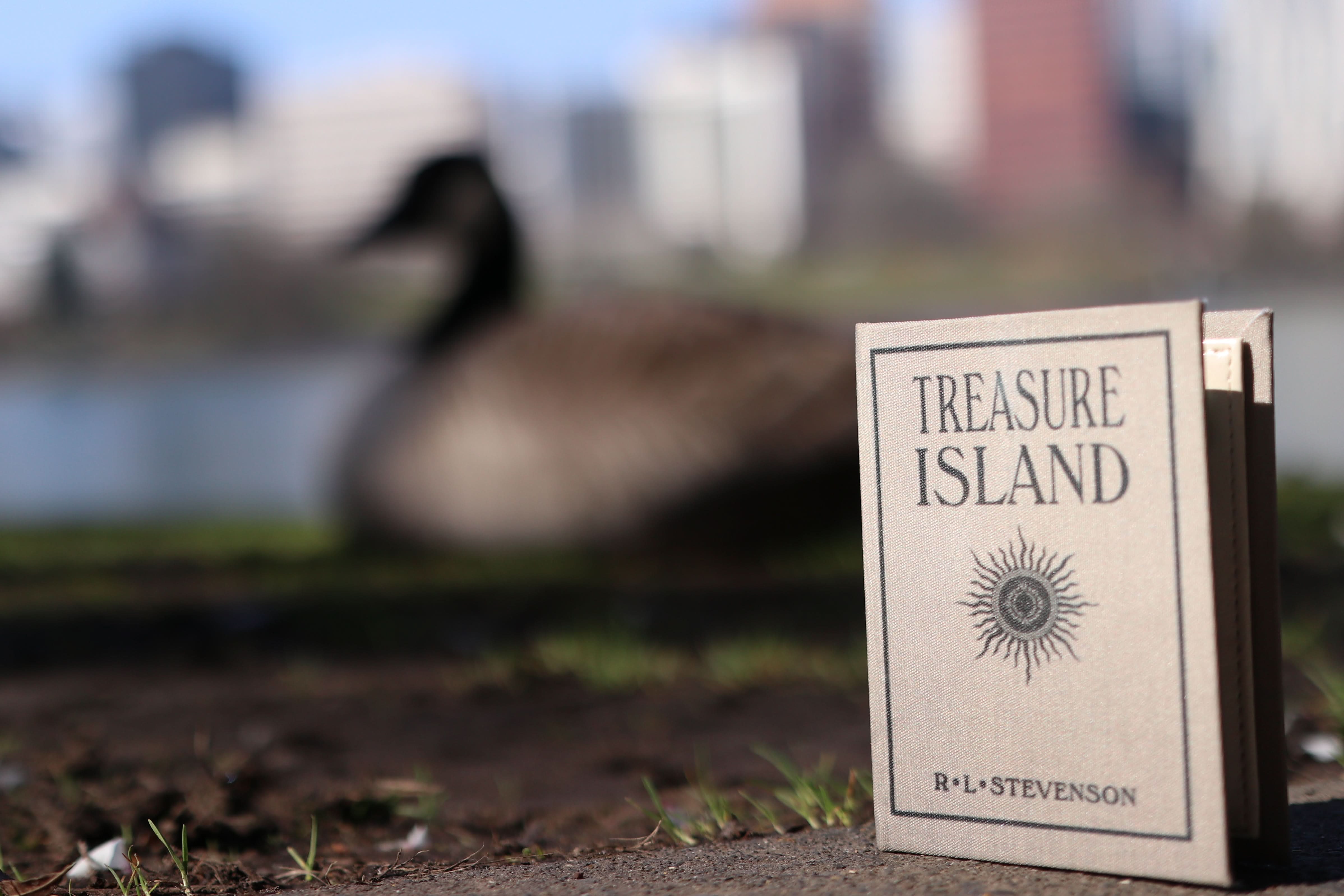 Image of Treasure Island by Robert Louis Stevenson 1883  Book Wallet - Novelbookstore.co